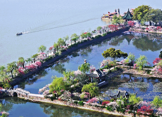 628_453gif 动态图 动图