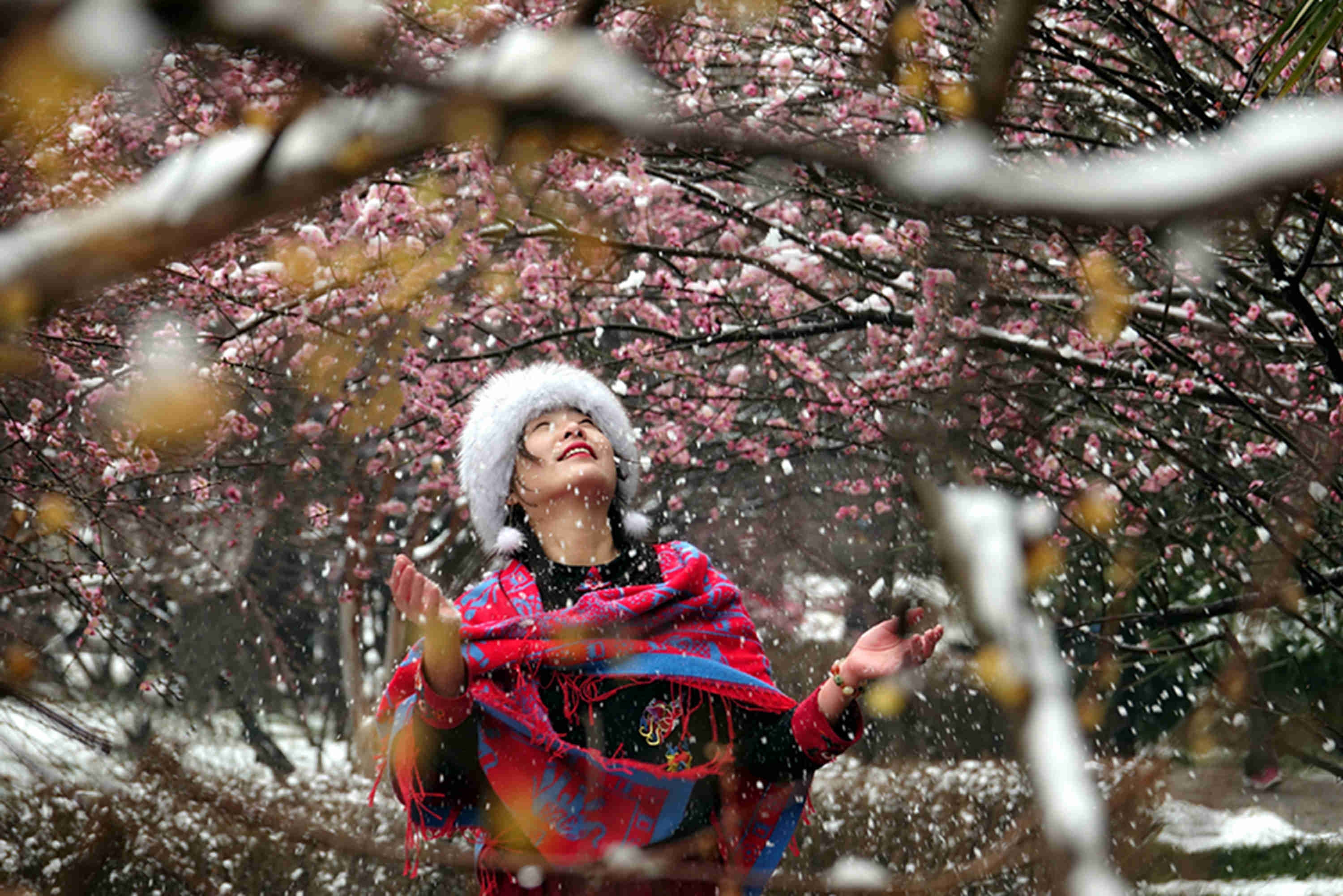 风花吹雪映红梅,嫣然一笑又一春.