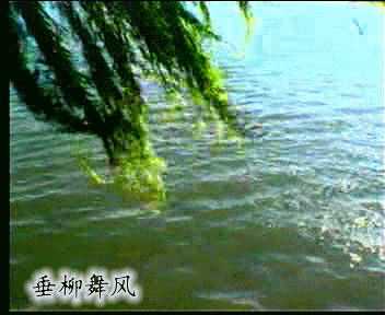 春风拂柳