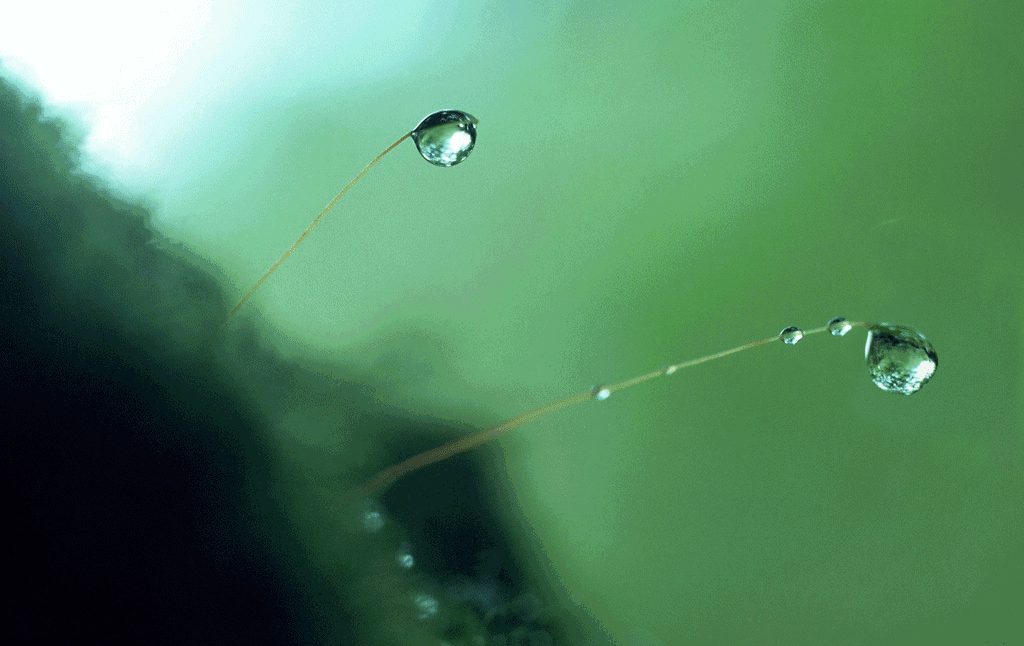 特别声明:本文观点仅代表作者本人,vv音乐仅提供信息发布平台.