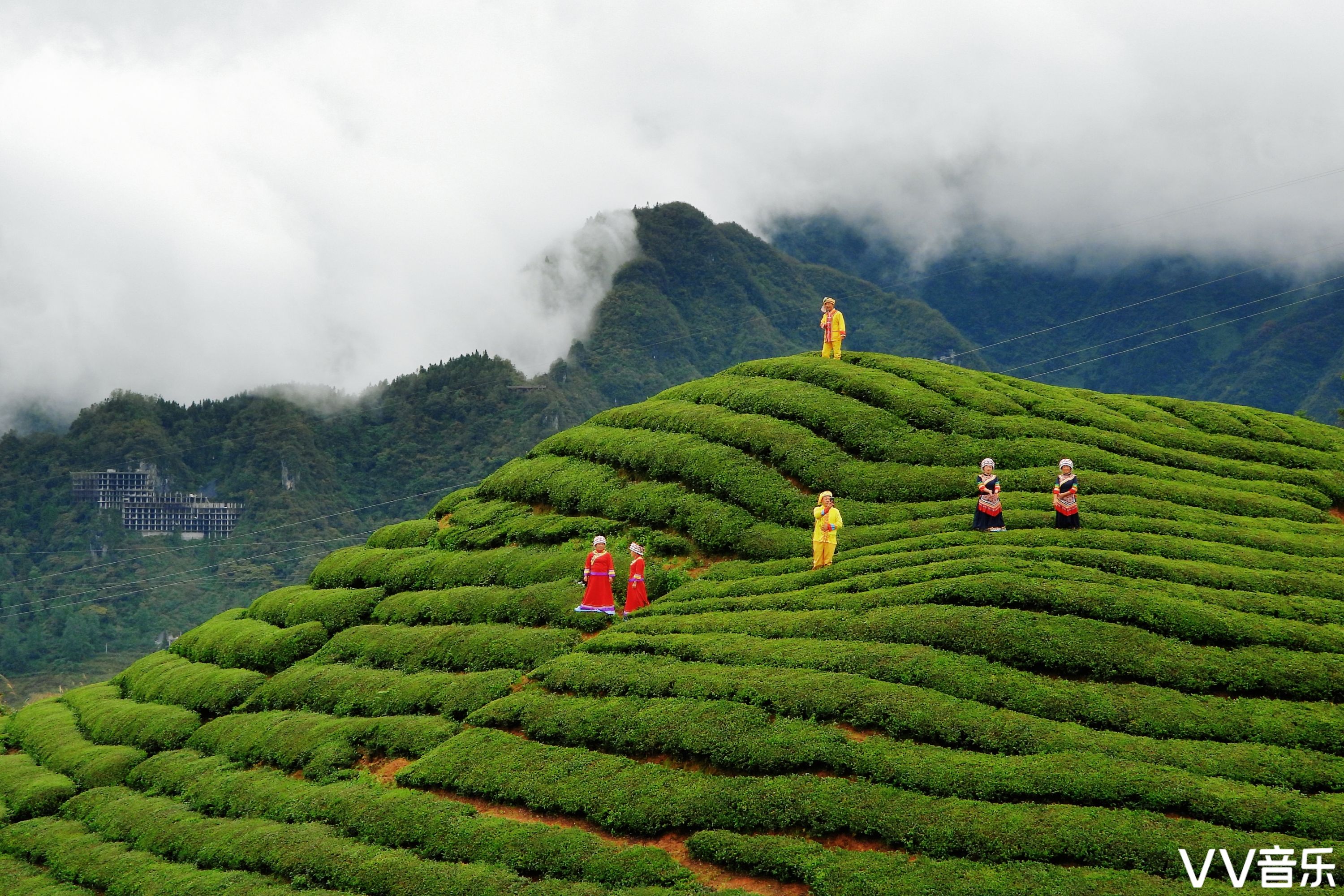 中国最美茶园木耳山