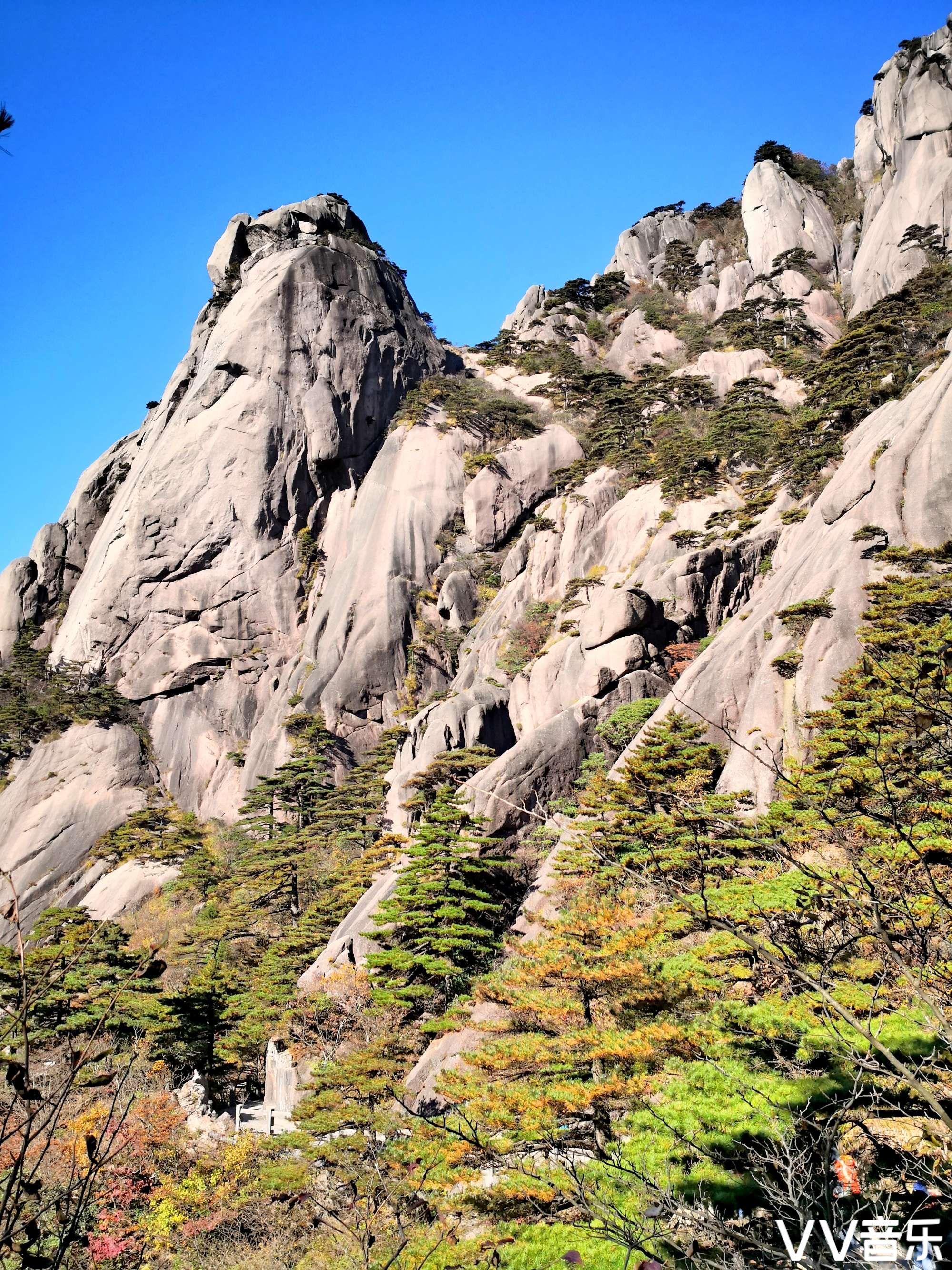 登上黄山莲花峰