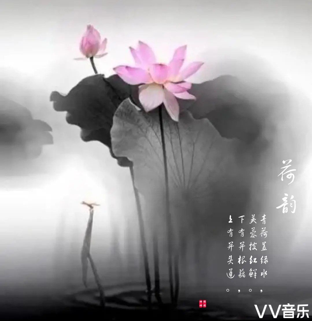 水墨丹青画荷韵