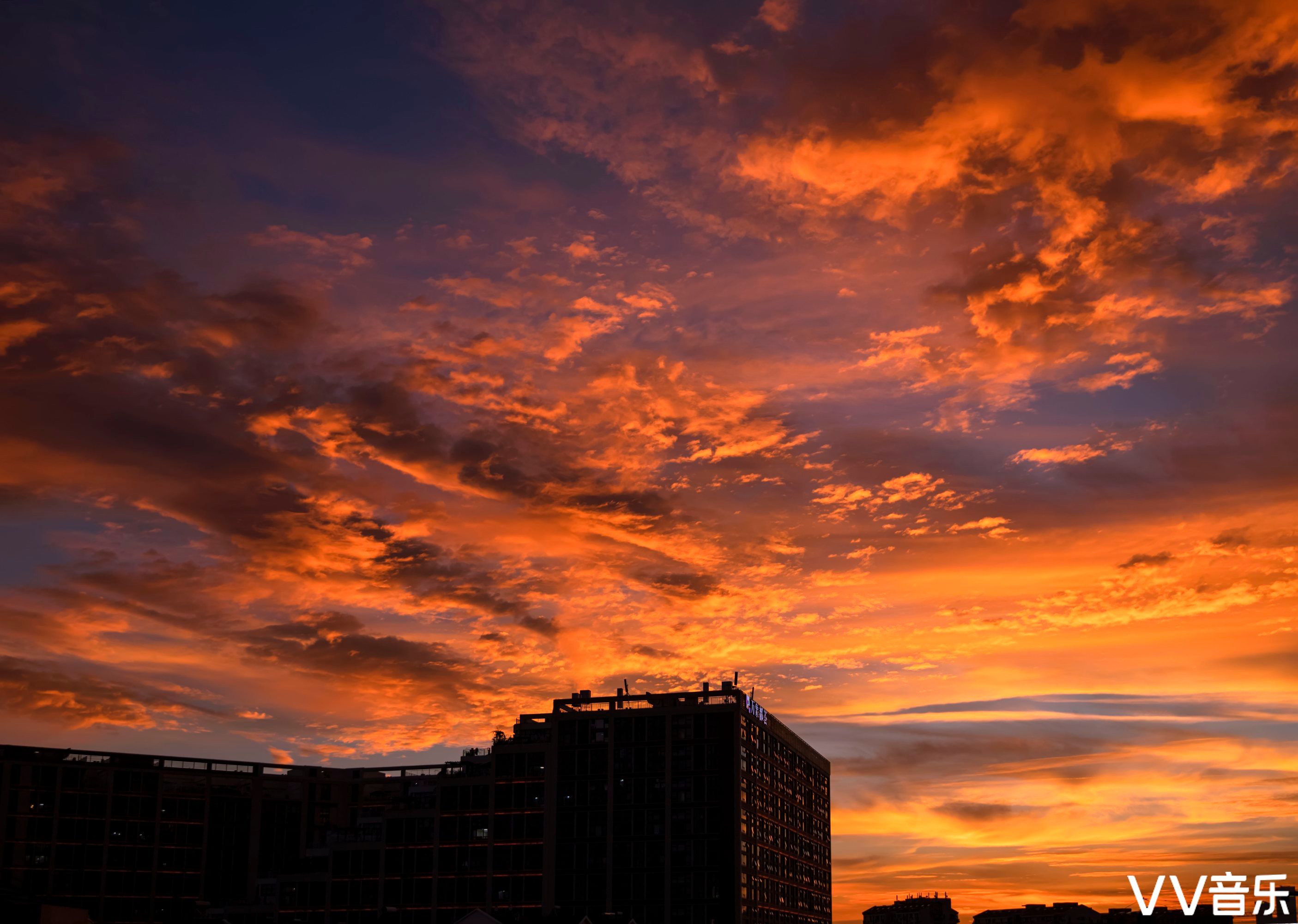 夕阳红