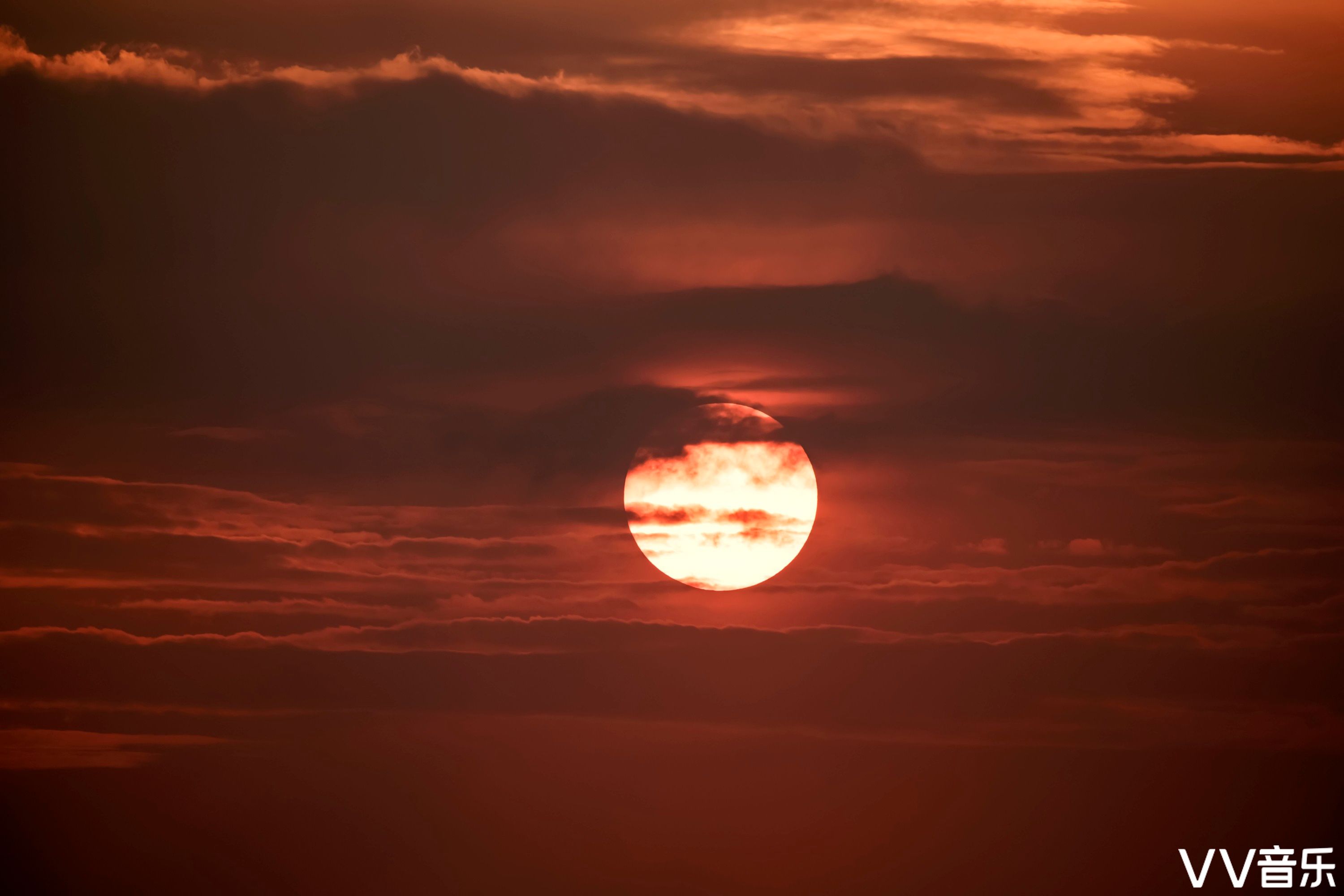 夕阳红
