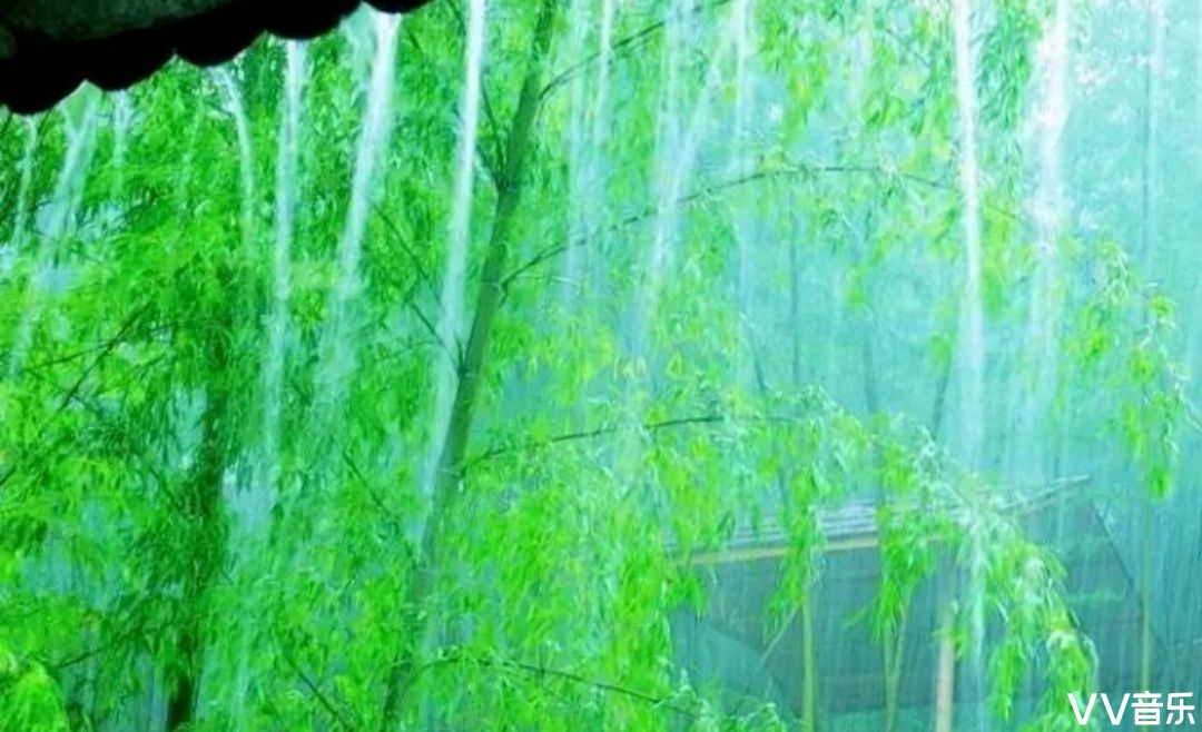 竹林听雨自在清幽