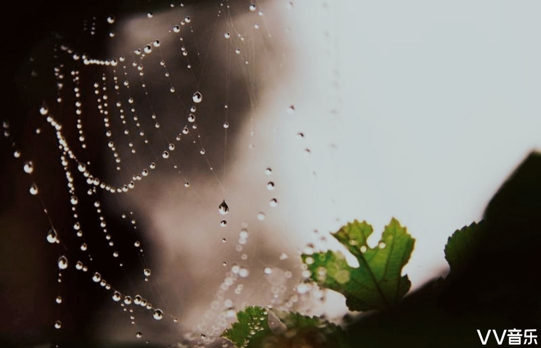 辛丑孟夏散词的悟思·听雨