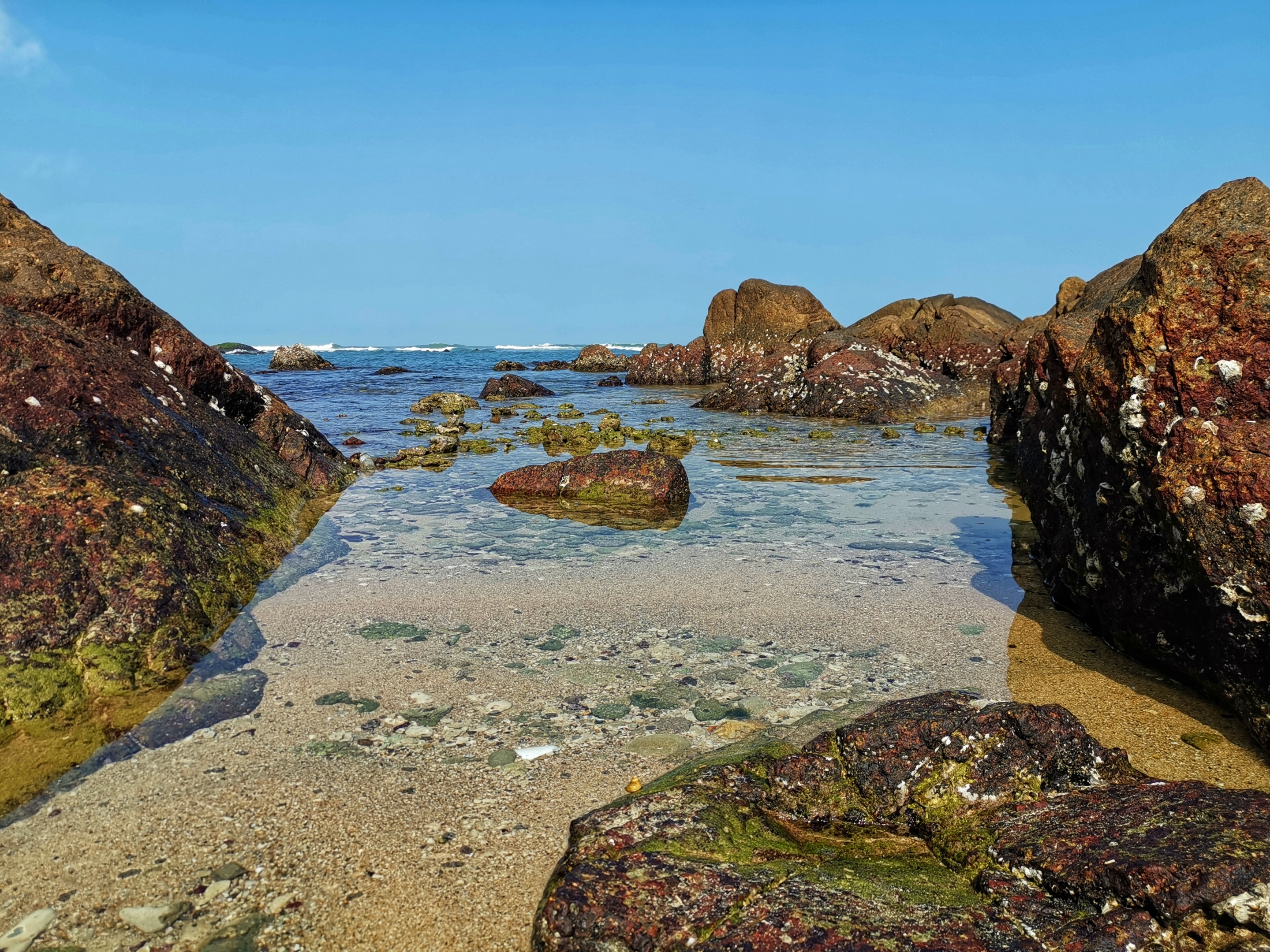 晶莹剔透景心角