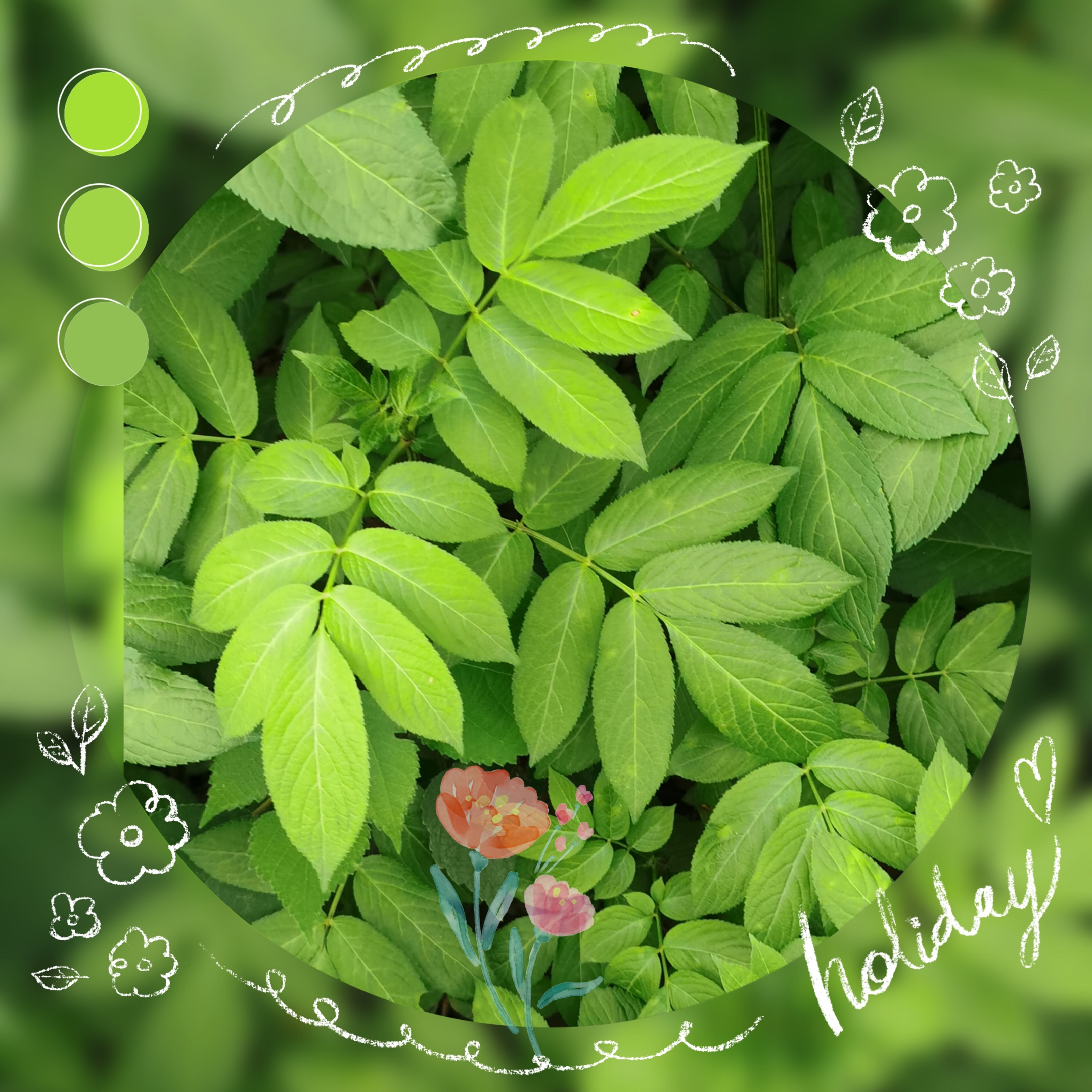 的痕迹里 遵循著古往的原则 是那些有光辉的泽言 是那些有碑文的镌刻