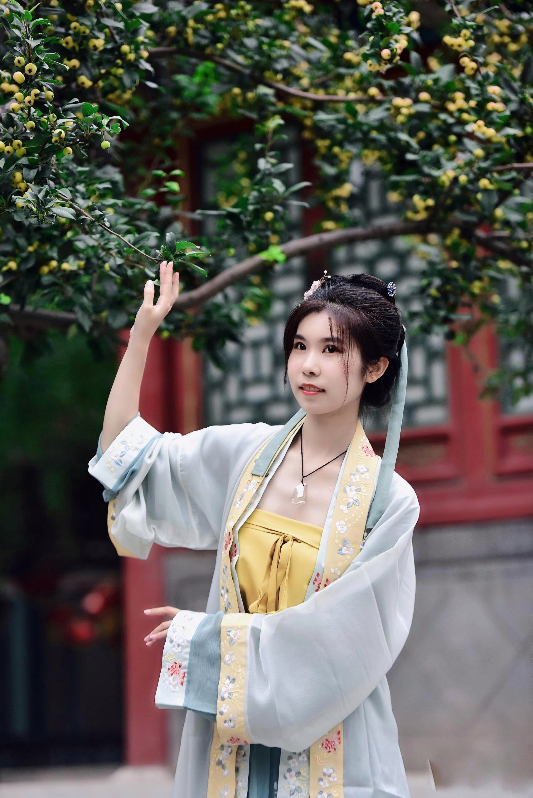 插图