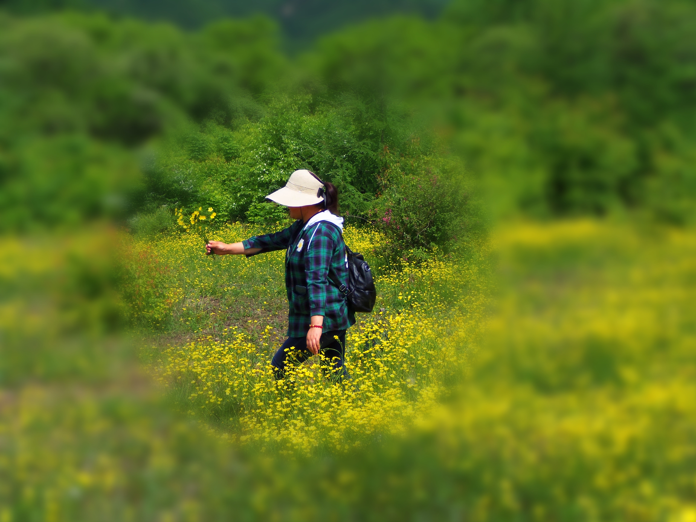 【首发】黄花甸里身影