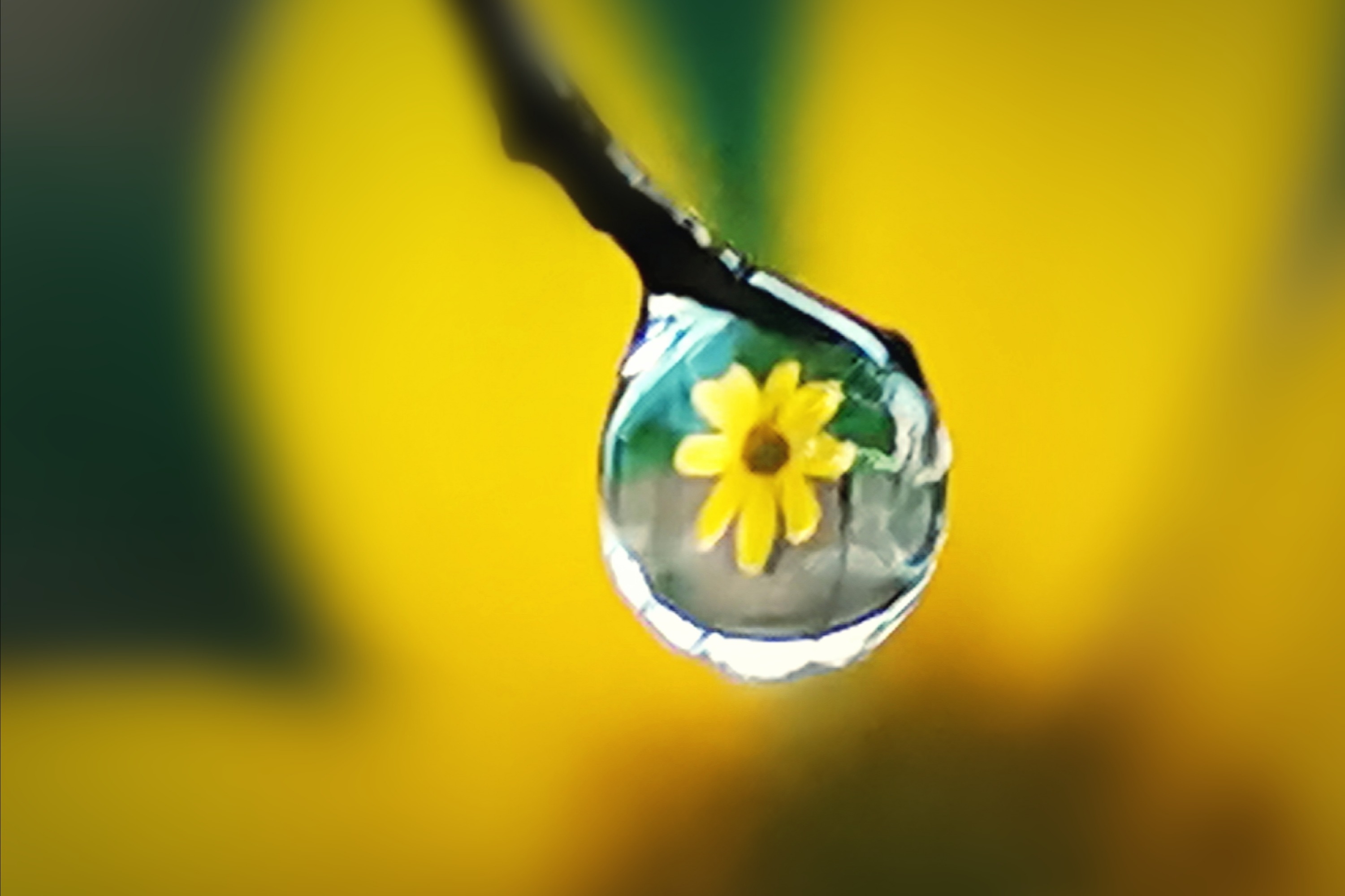 【一滴雨】 首发