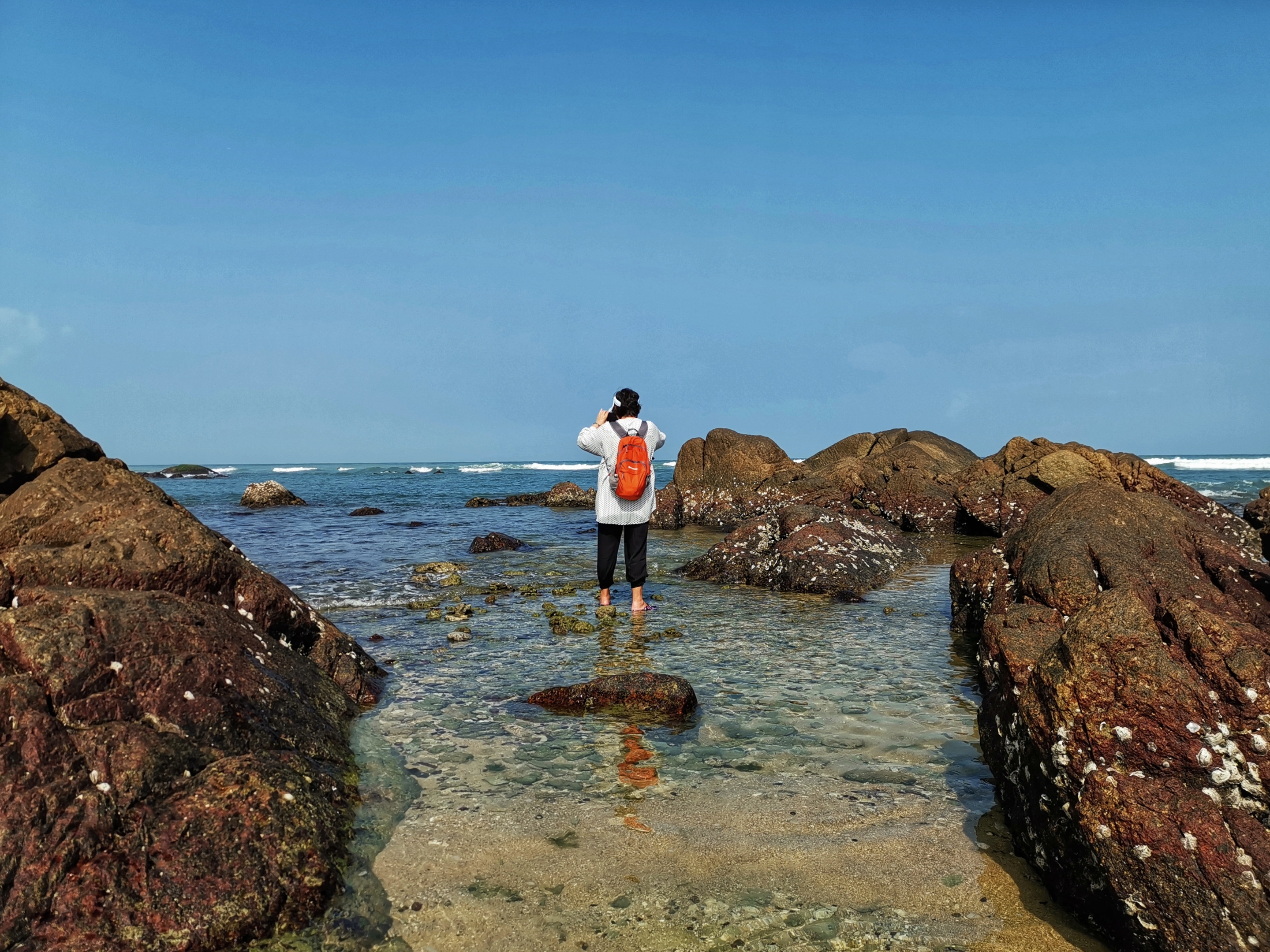 晶莹剔透景心角