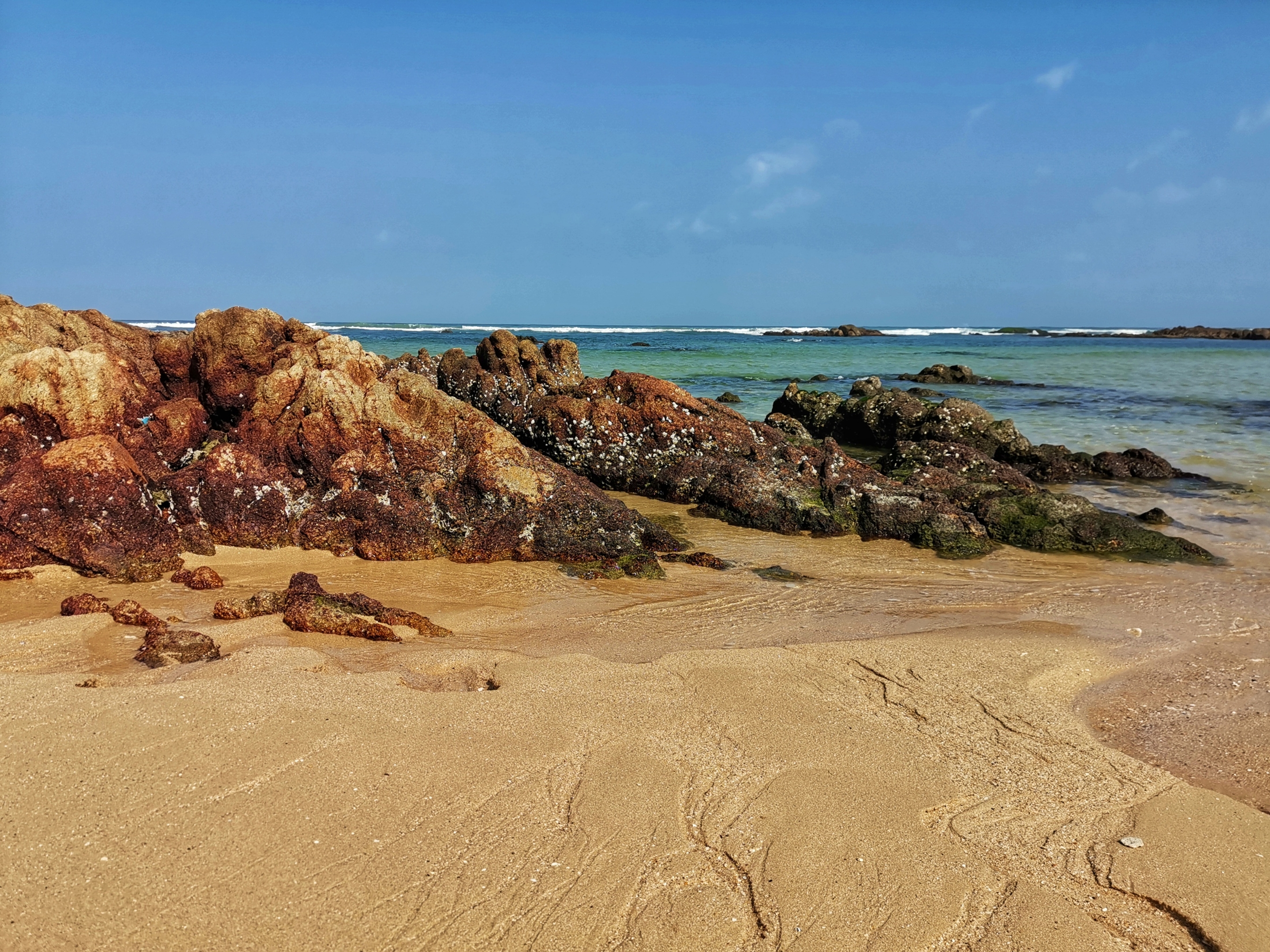 晶莹剔透景心角