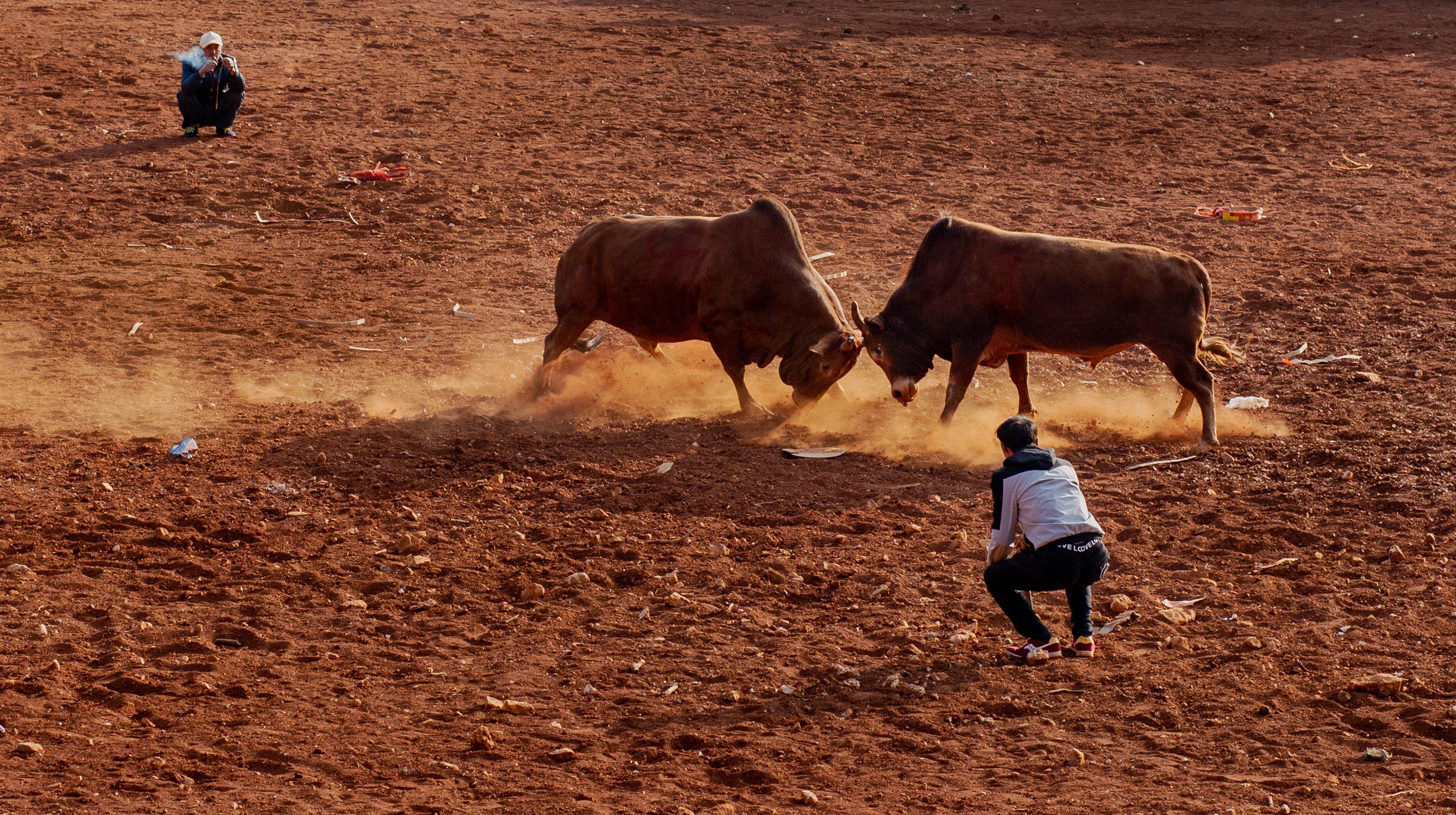 云南彝族雨胜村2018年斗牛节