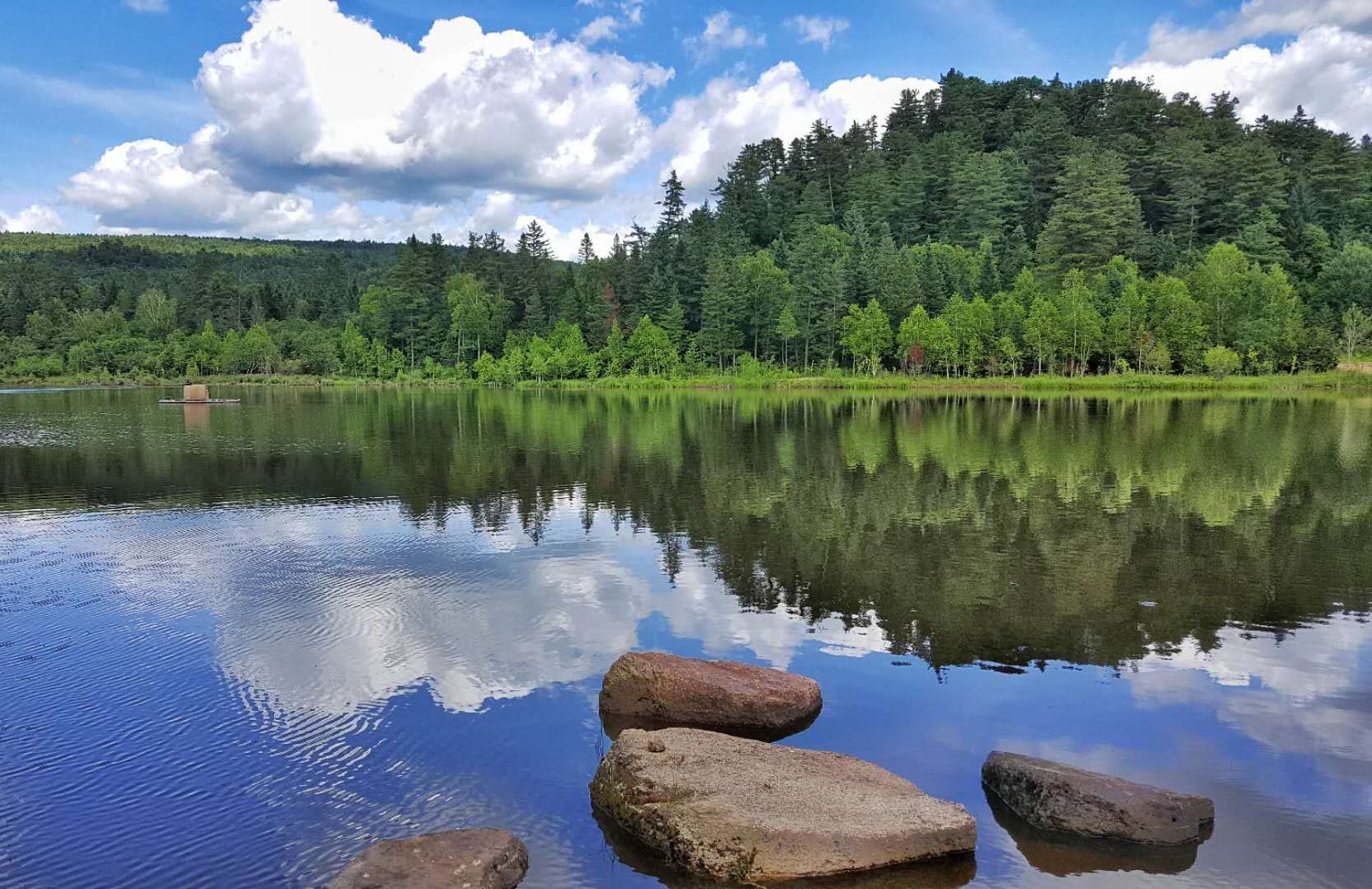 夏日湖畔 绿色家园