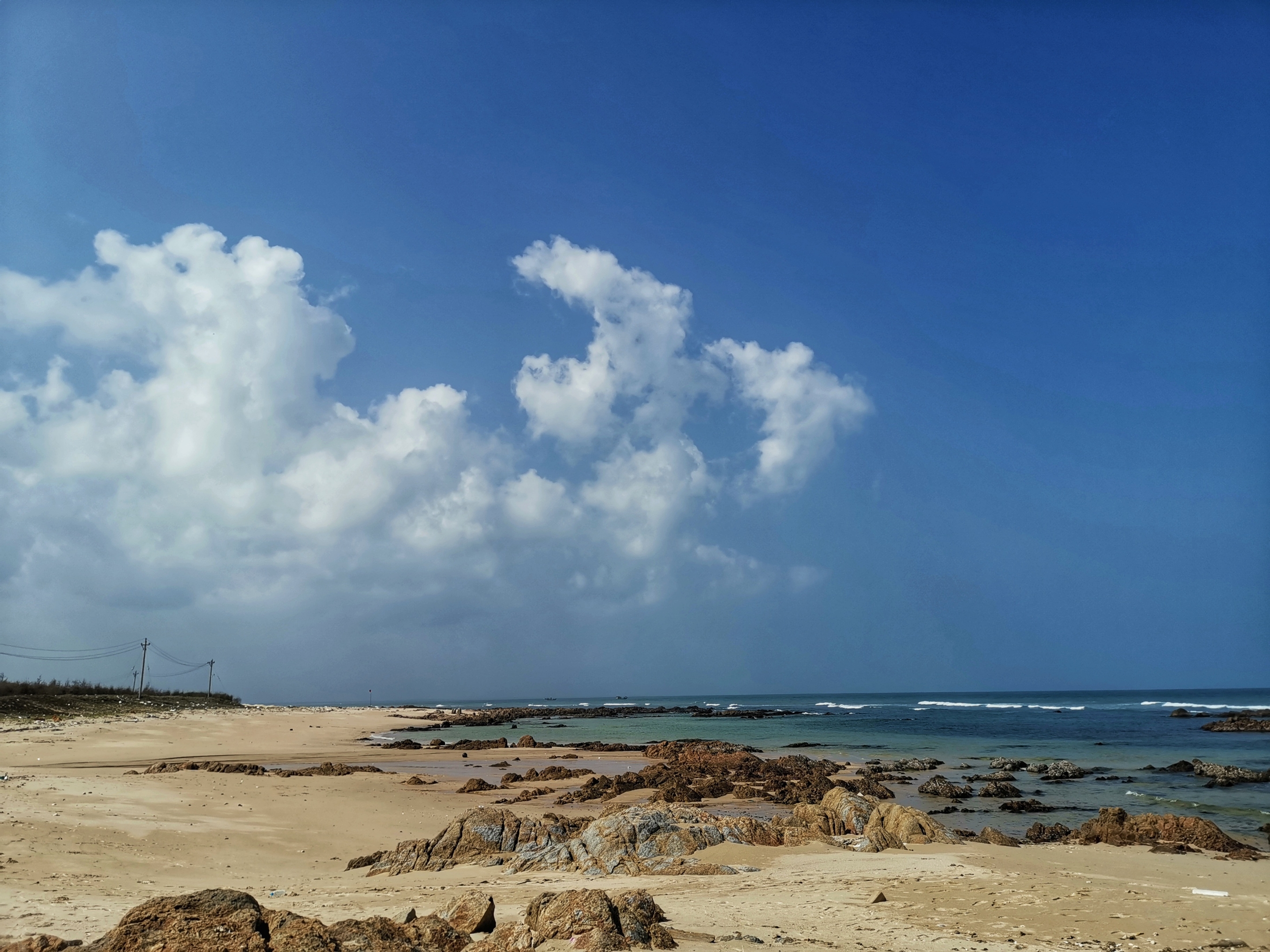 晶莹剔透景心角