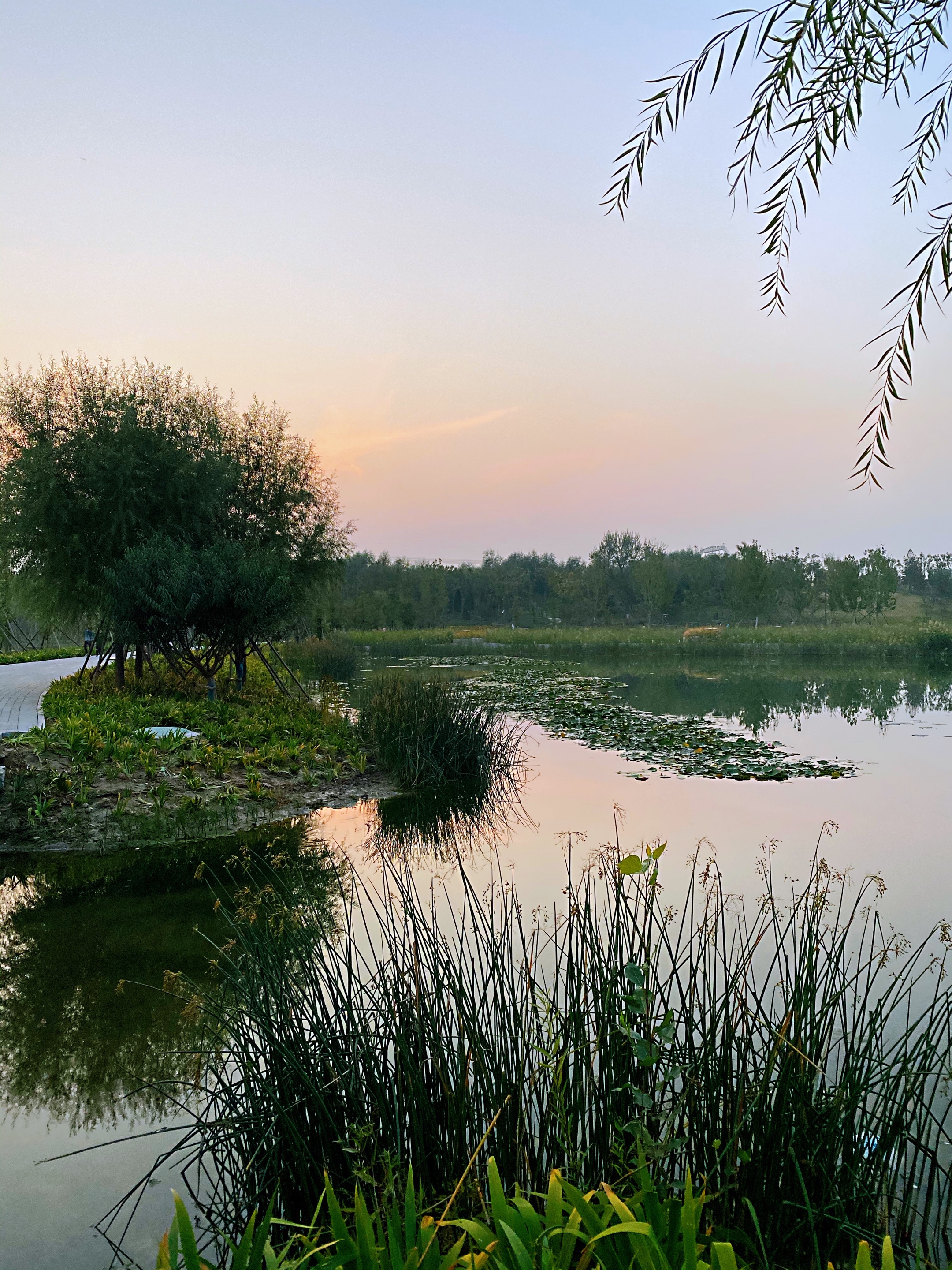 温榆河湿地公园剪影