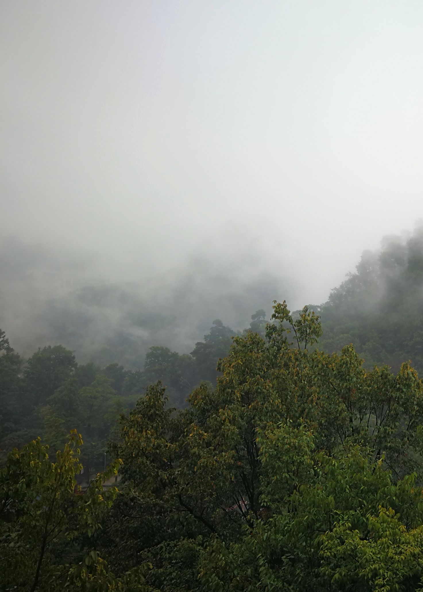 城市煙雨別樣的風景