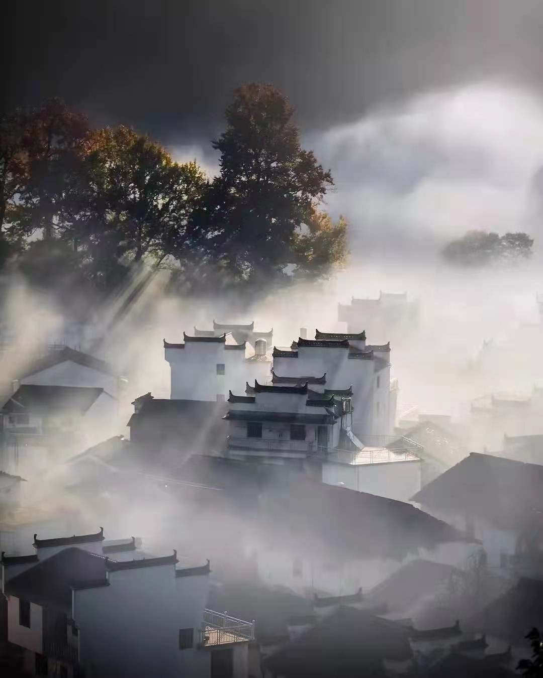 梅云利老师题图诗集锦(之二) 作者/梅云利_北京头条