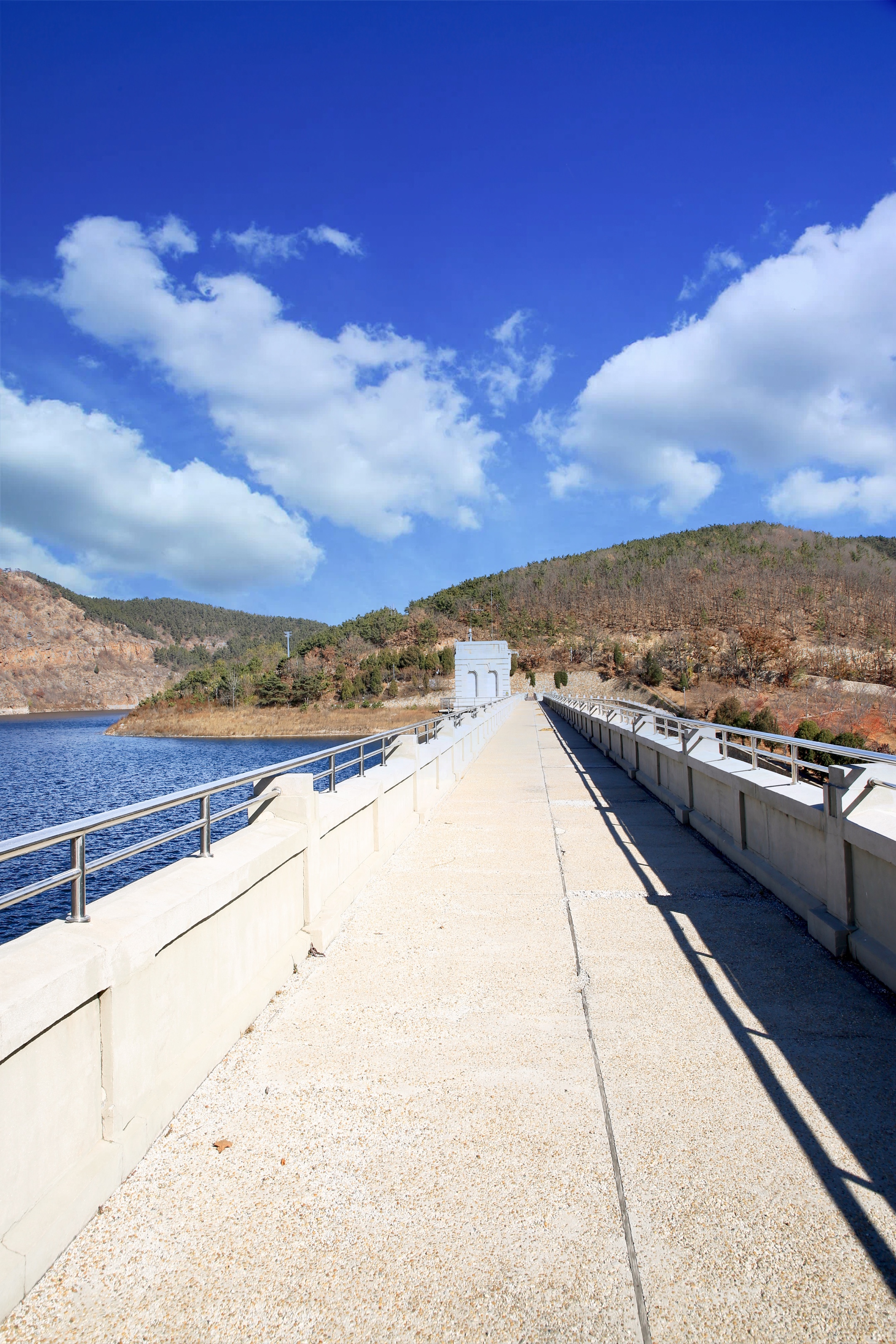 大美中国我是践行者优秀摄影师 于清敏 出镜:龙王塘樱花园 龙王塘水库