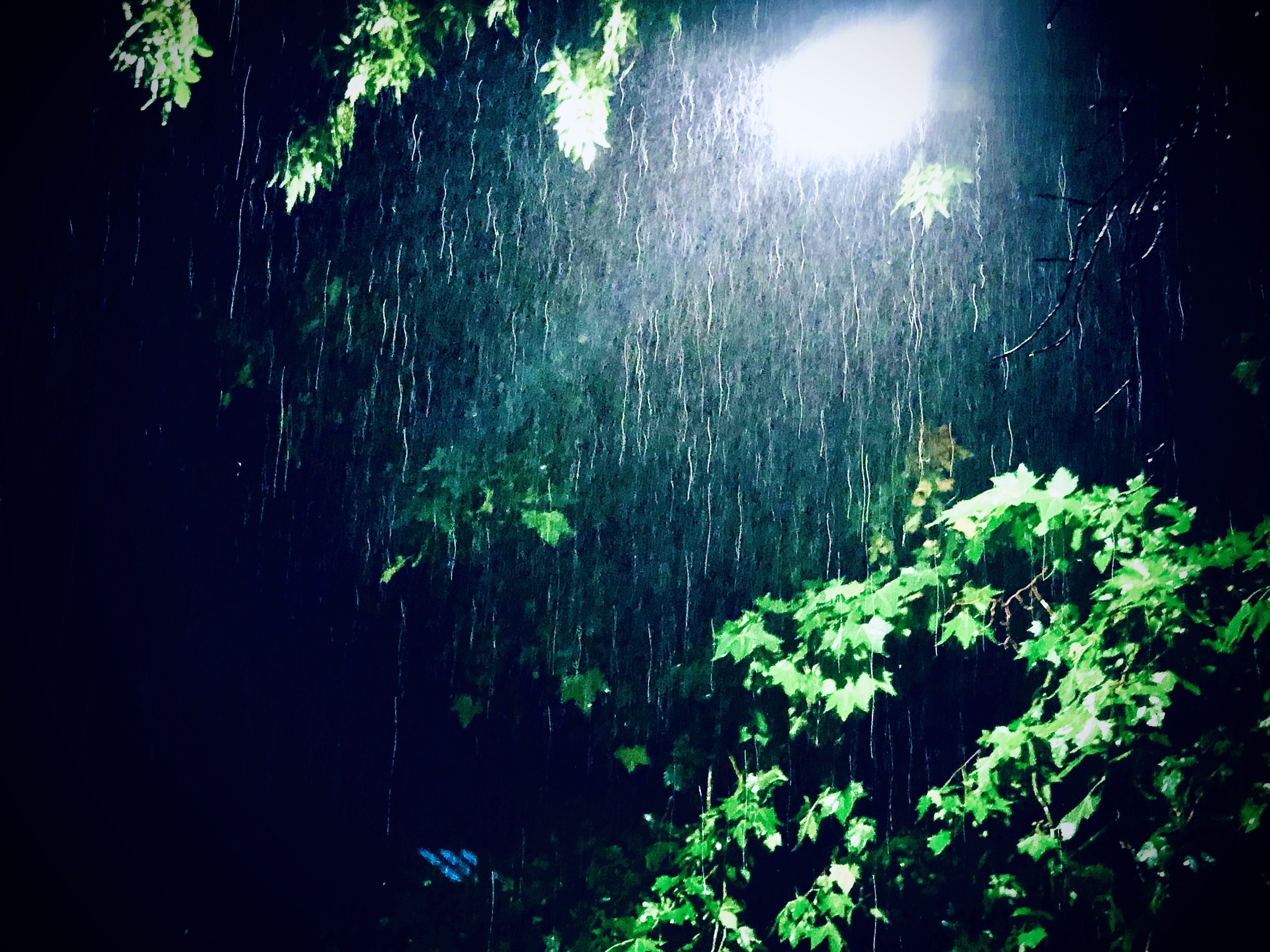 深入一场暴风雨里