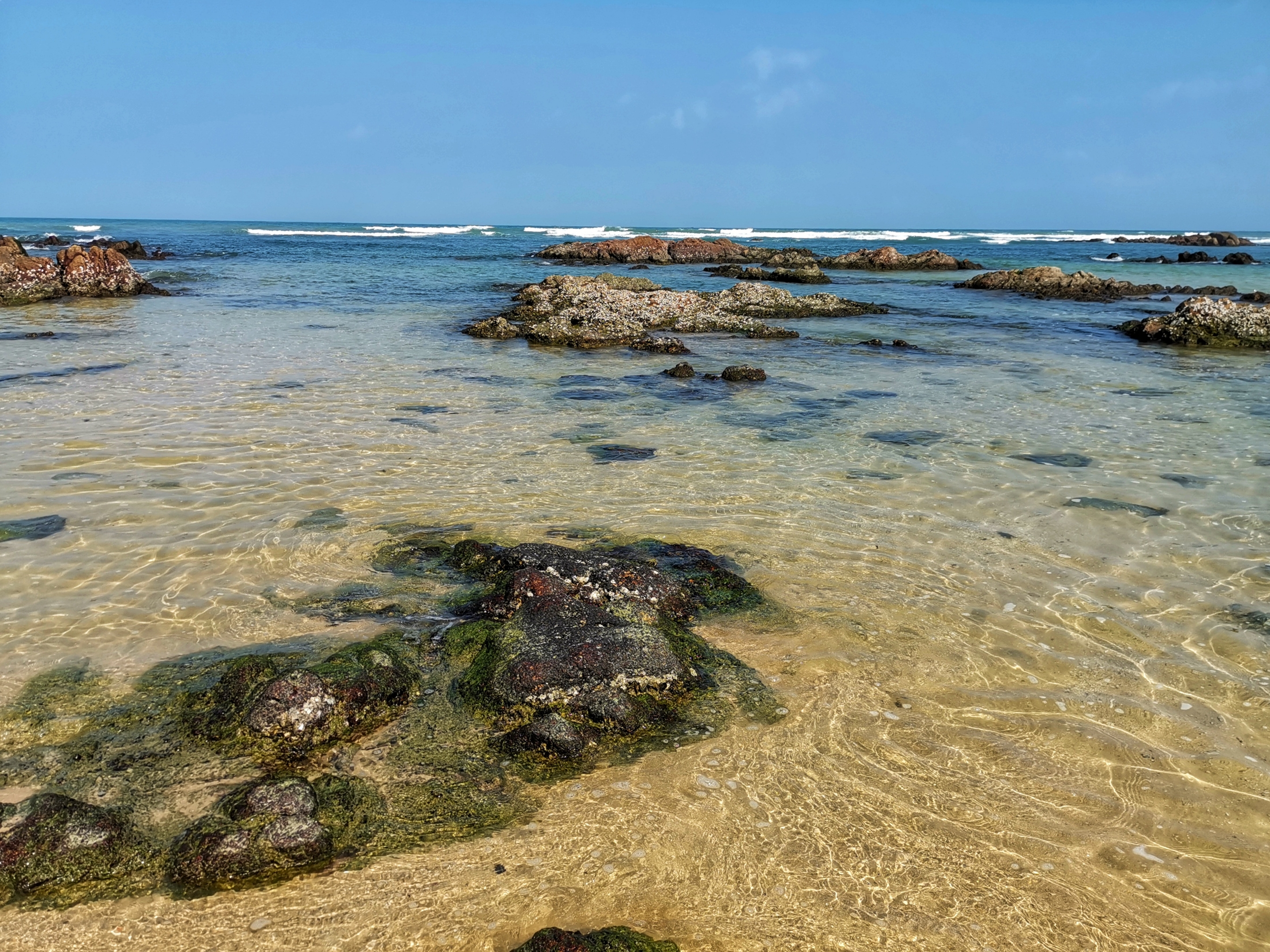 晶莹剔透景心角