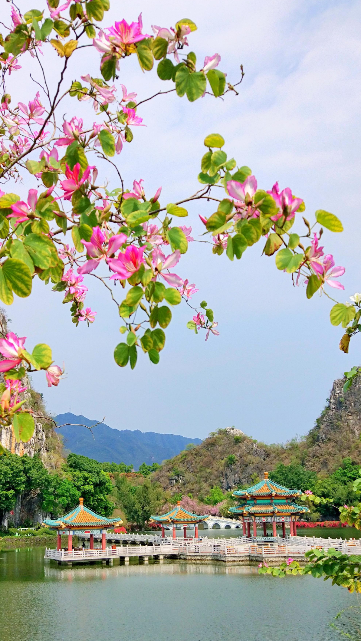 山水花草风景手机壁纸图片