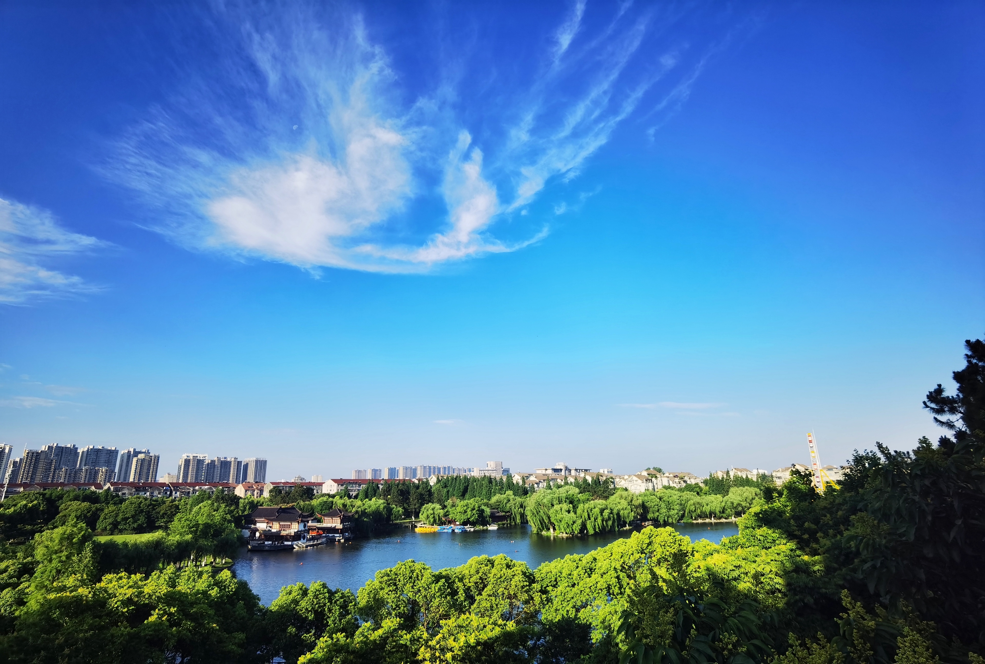 《首發》手機攝影丨新世紀公園美景