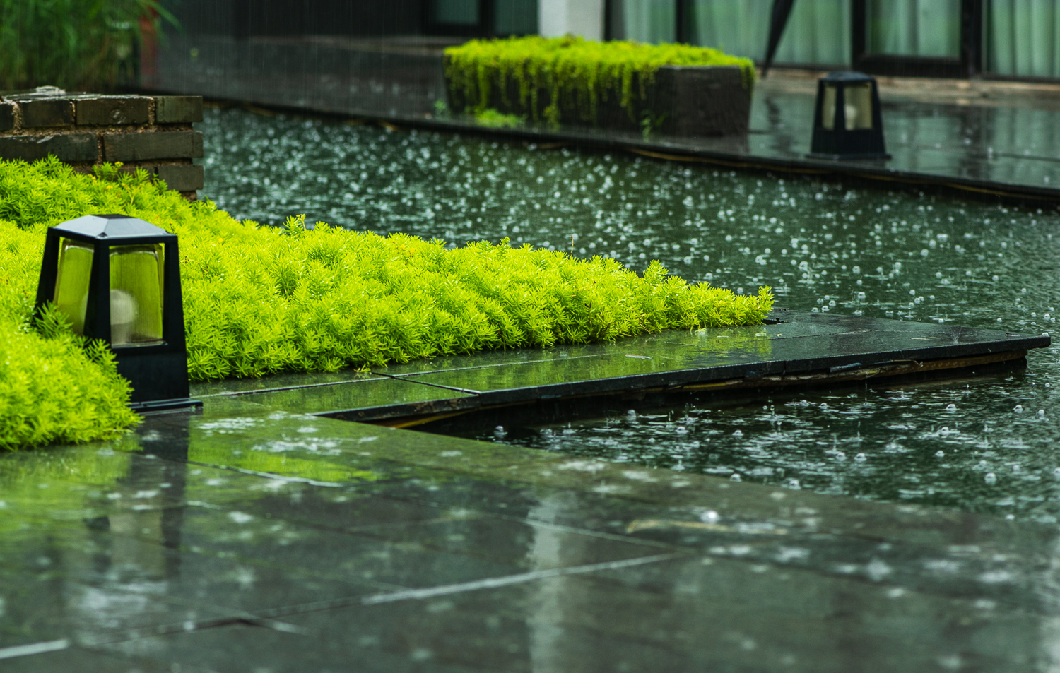 雾雨盛夏图片