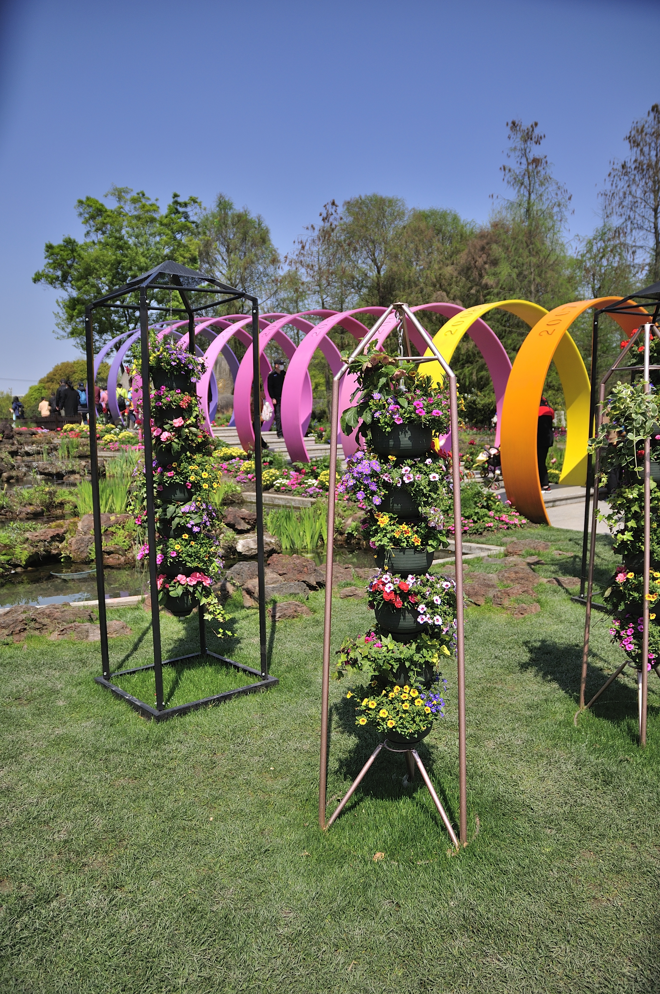 在今年的2021上海(国际)花展的新优植物展区中,由浙江虹越花卉股份