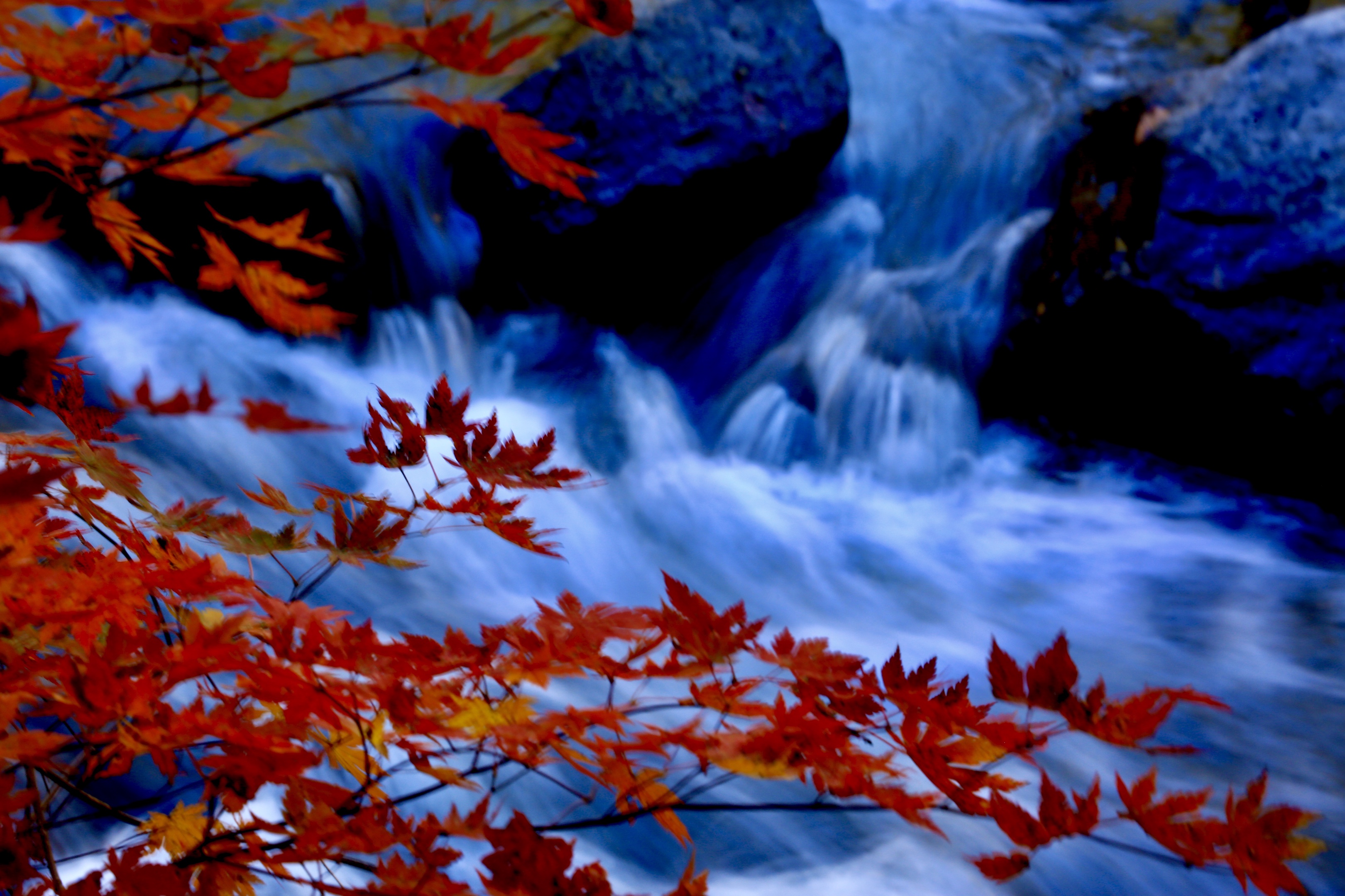 红叶醉山间眷恋溪流水