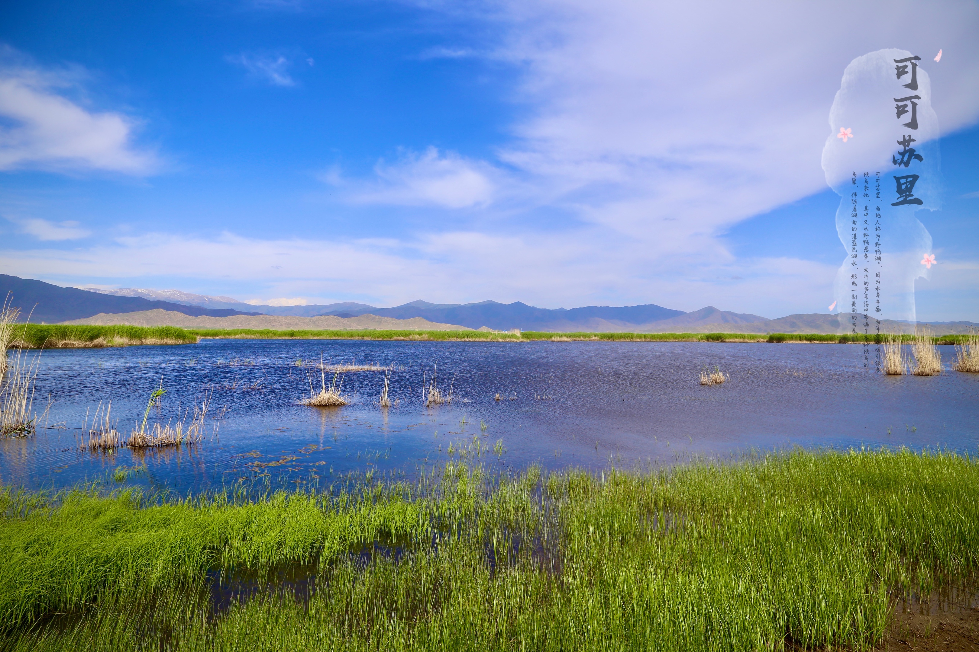 蓝色河湾可可托海首发