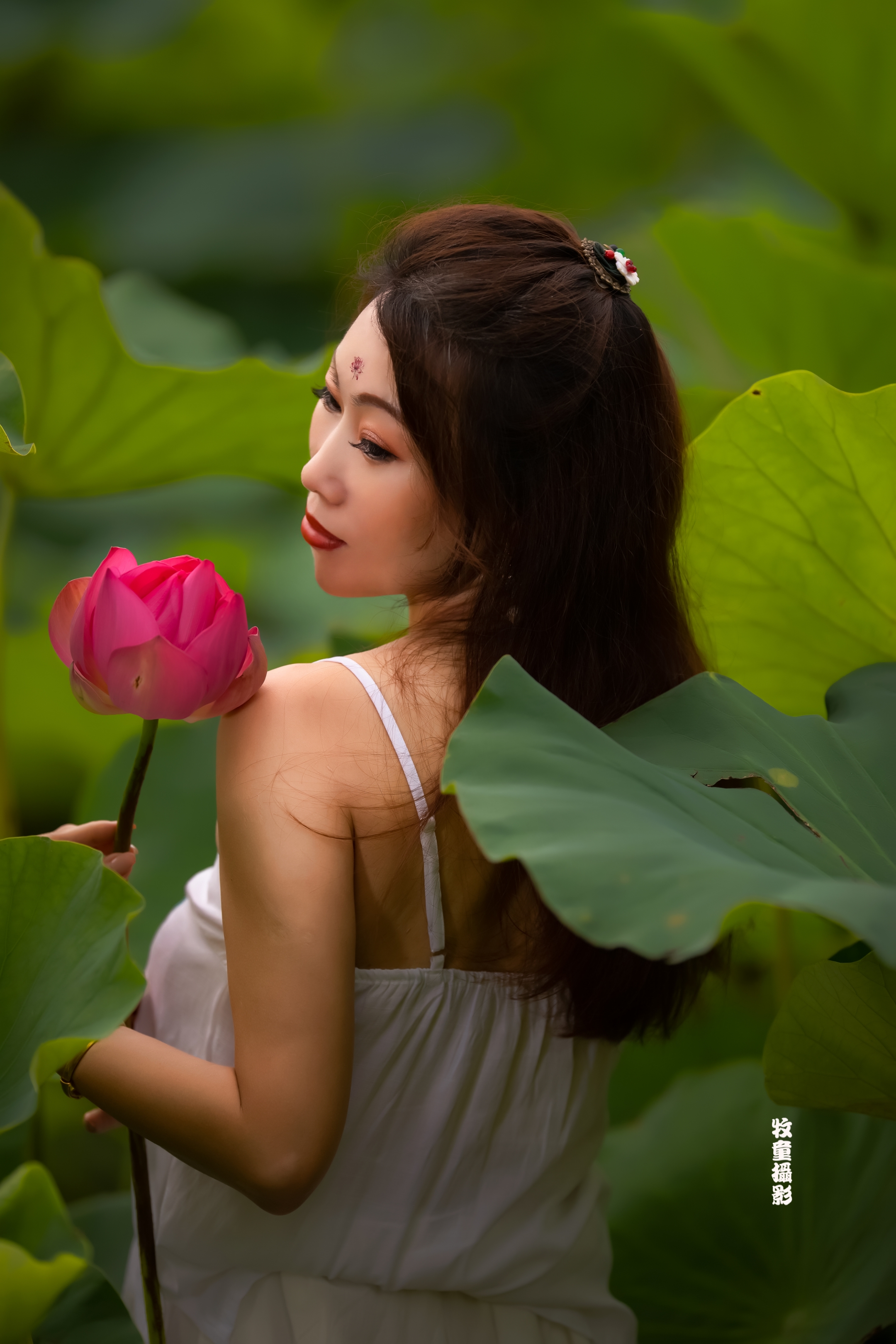 《咏荷》出镜:猫咪,摄影:愚人,牧童,梁子,狼哥,果果