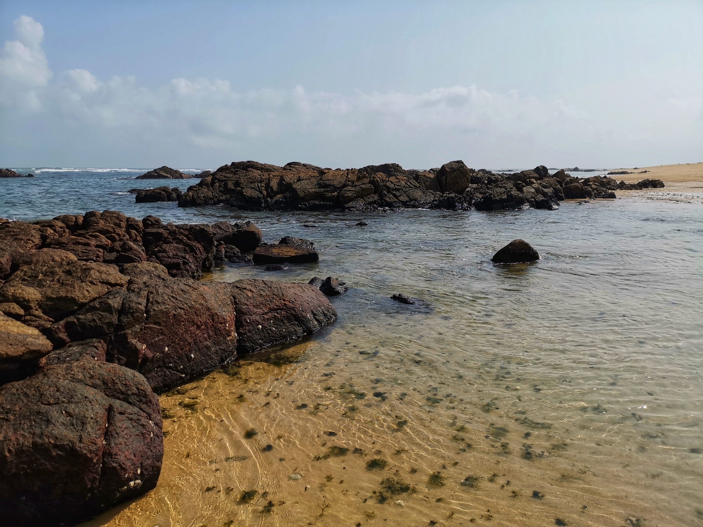 晶莹剔透景心角