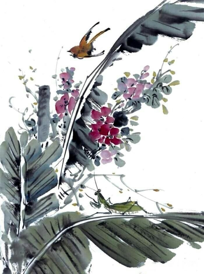 雨打芭蕉淅沥沥作者云迹诵读奕含