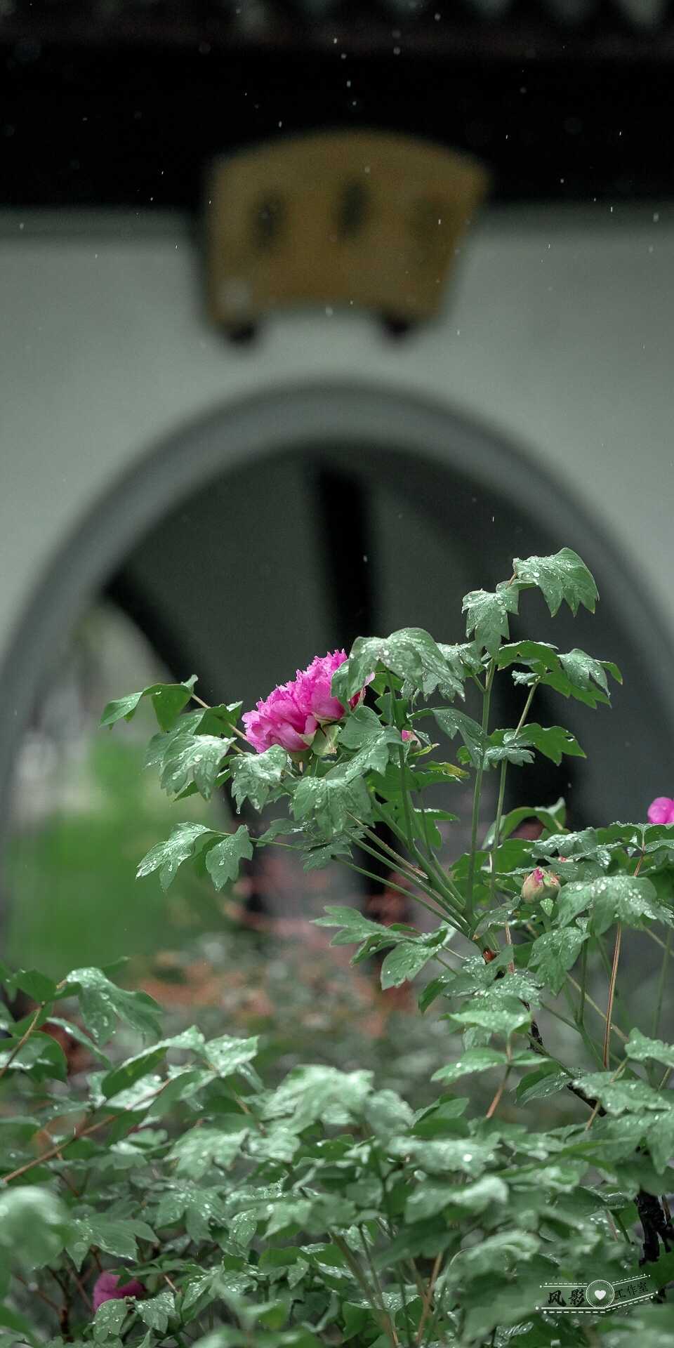 【西窗风采@精美短诗集锦第18辑】西窗剪烛