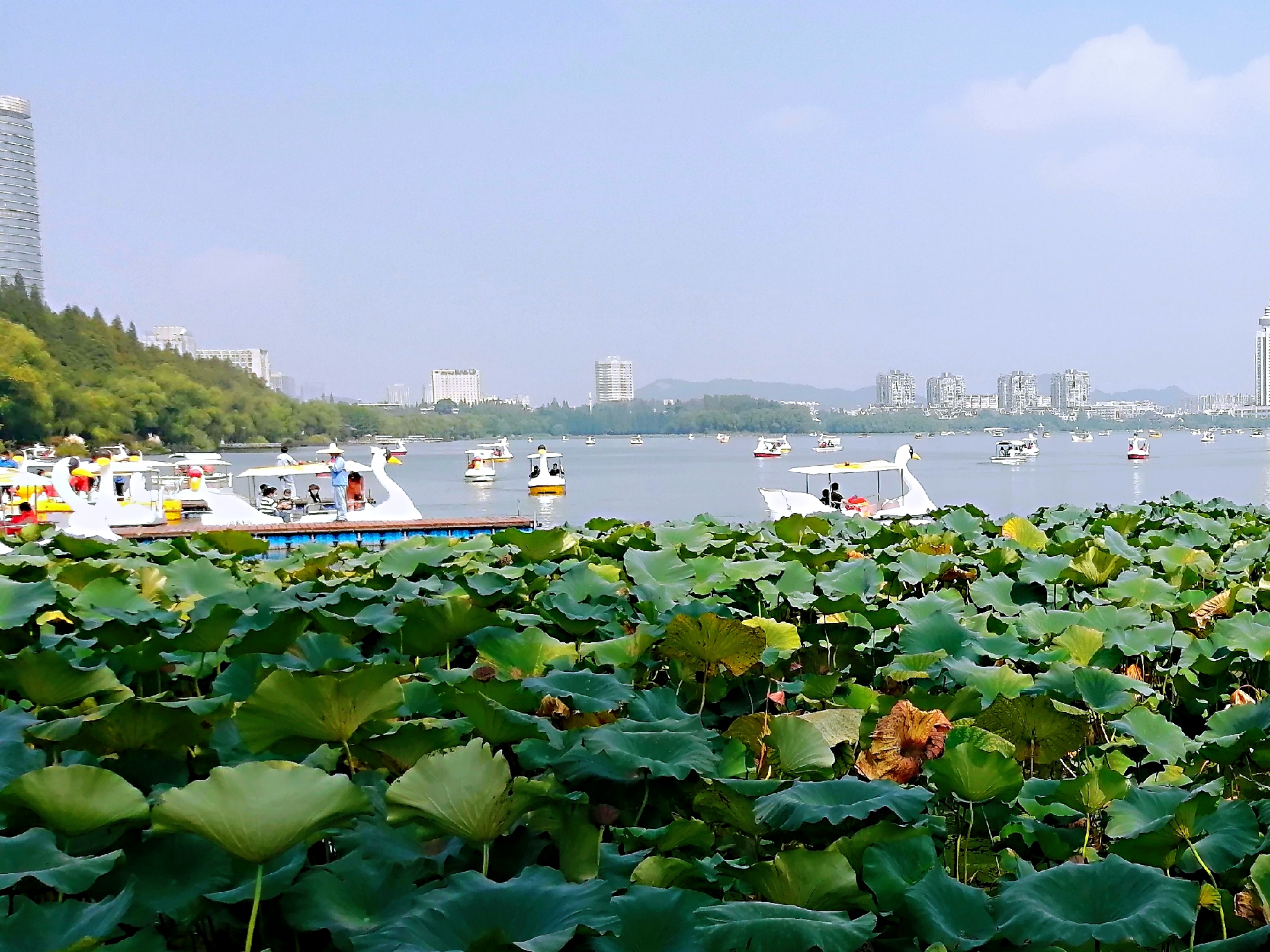 双节中的玄武湖景区(首发)