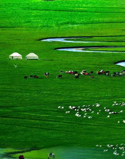 (首发 )敕勒歌 【南北朝】 佚名 诵读 伊莎