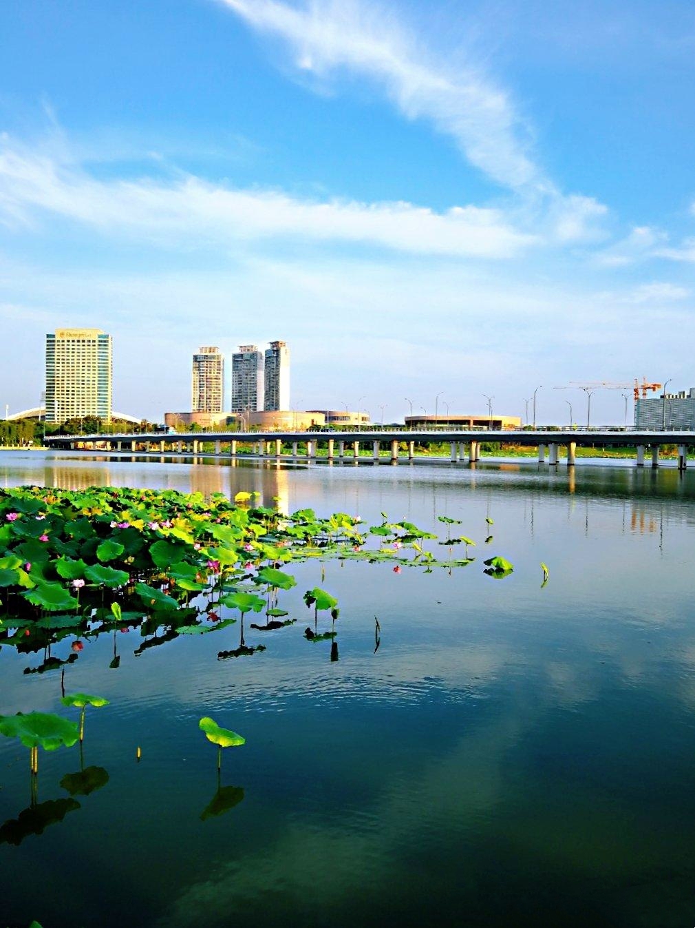 明月湖公园