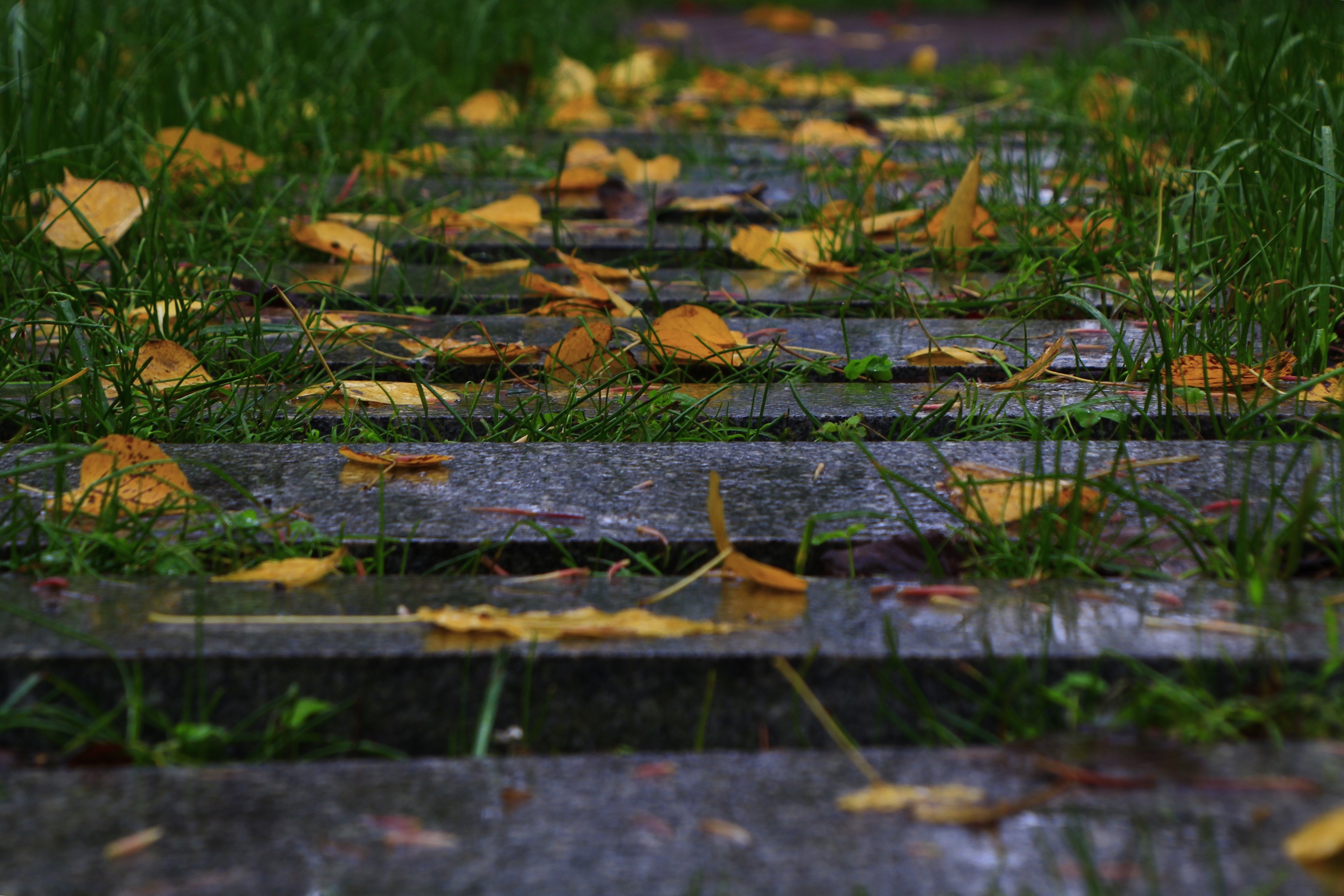 一场秋雨一场寒,处暑过后,酷暑褪去,凉意渐渐来袭.