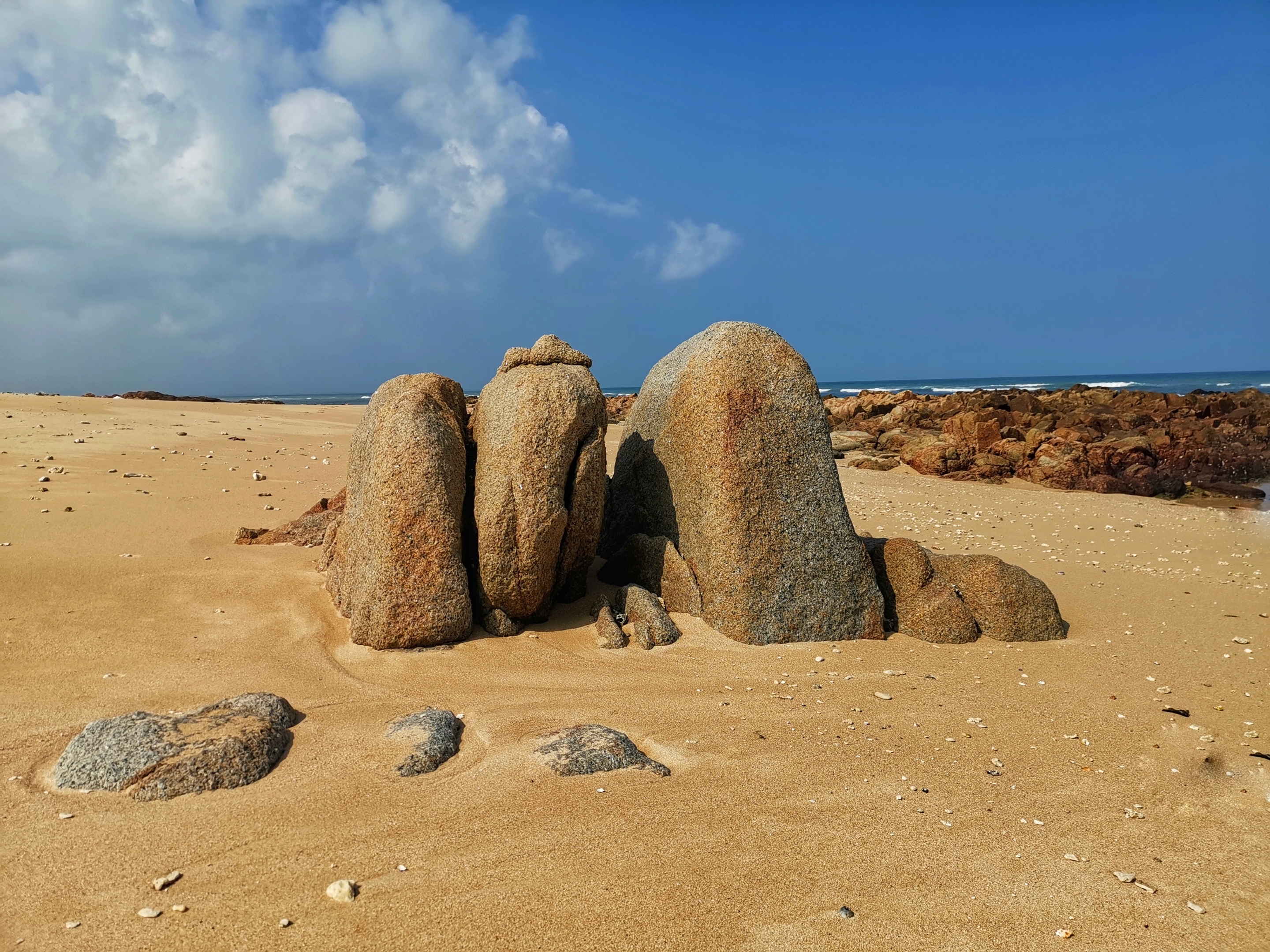 晶莹剔透景心角