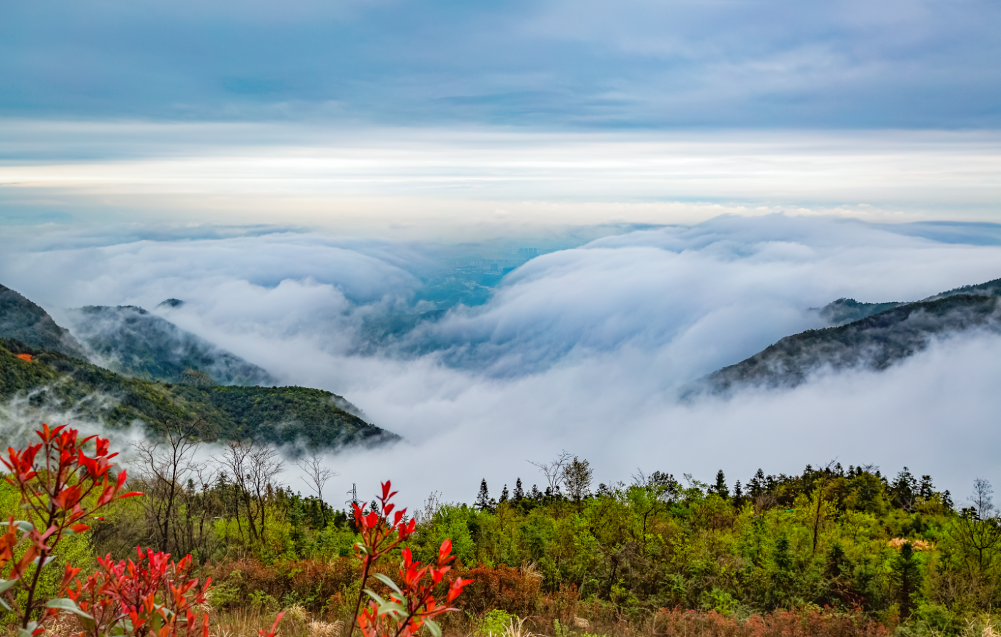 【大自然】云海