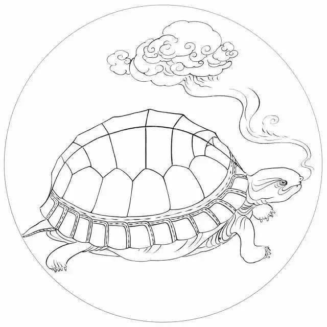 金龟子怎么画线描图片