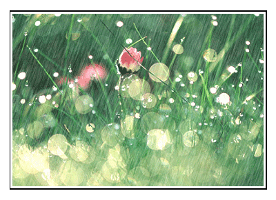 小草仍枯啼倦鸟,                 烟飘细雨润浮萍.