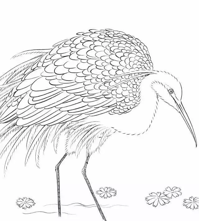 中国传统白描图谱以及白描知识及线描要求