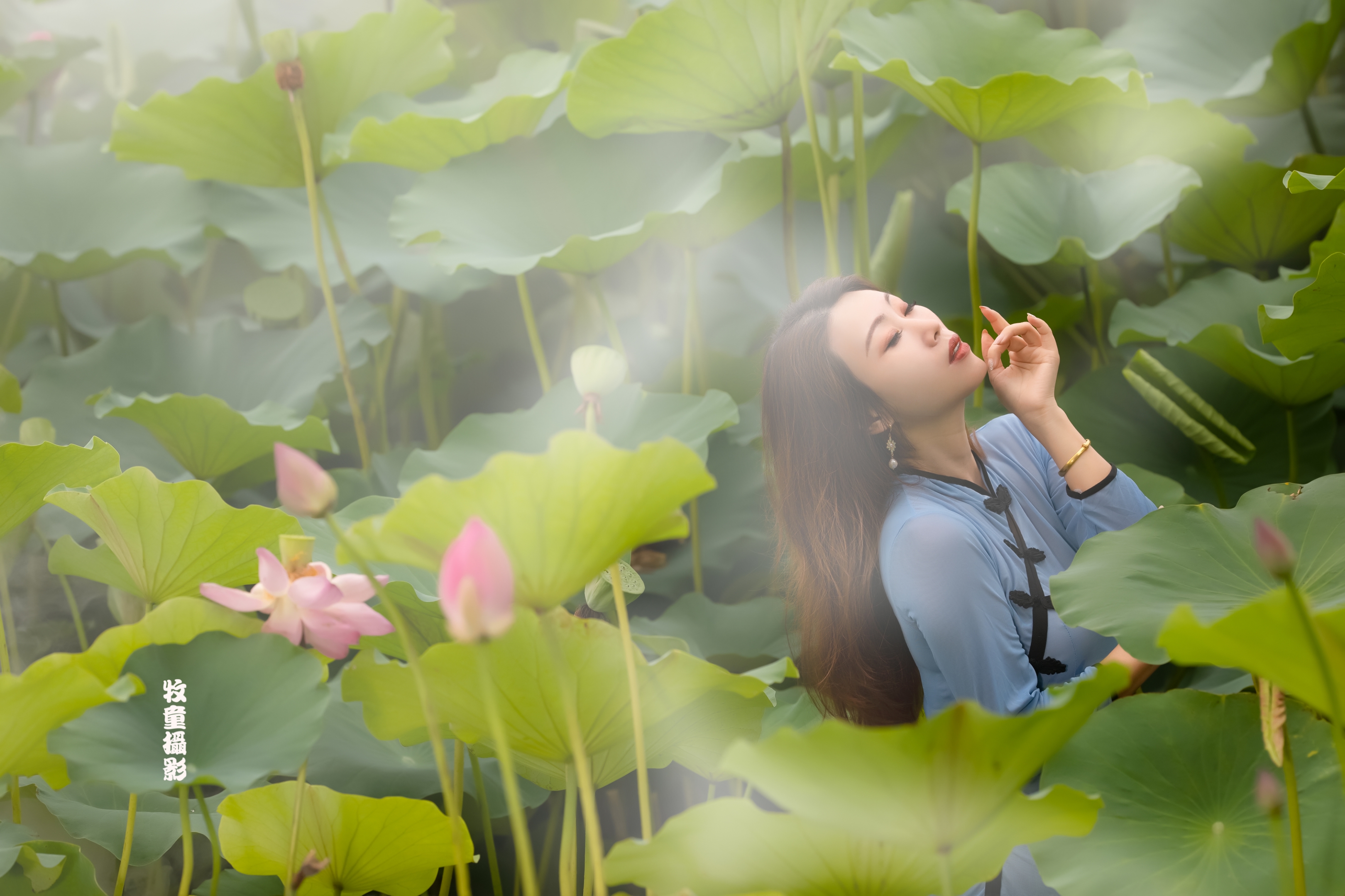 荷花像亭亭玉立的少女图片