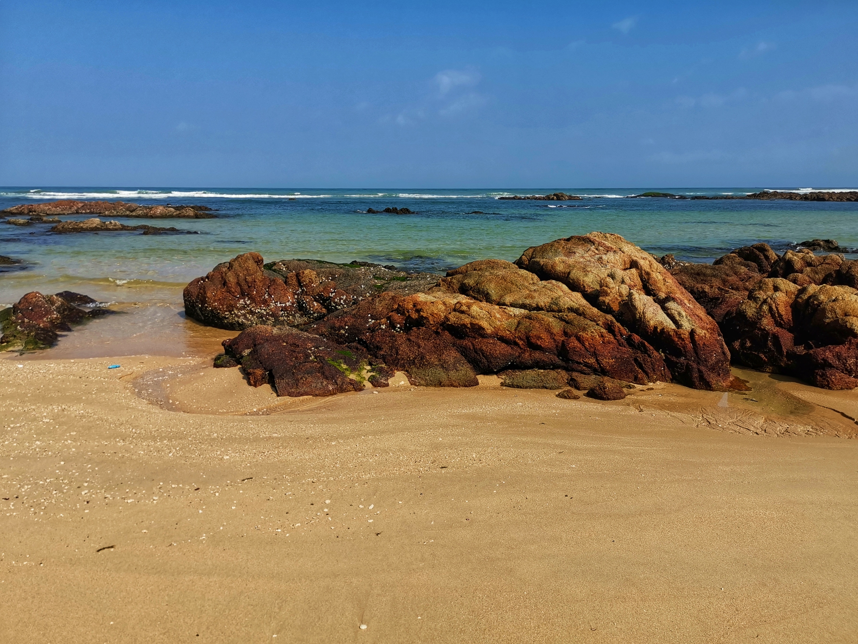 晶莹剔透景心角