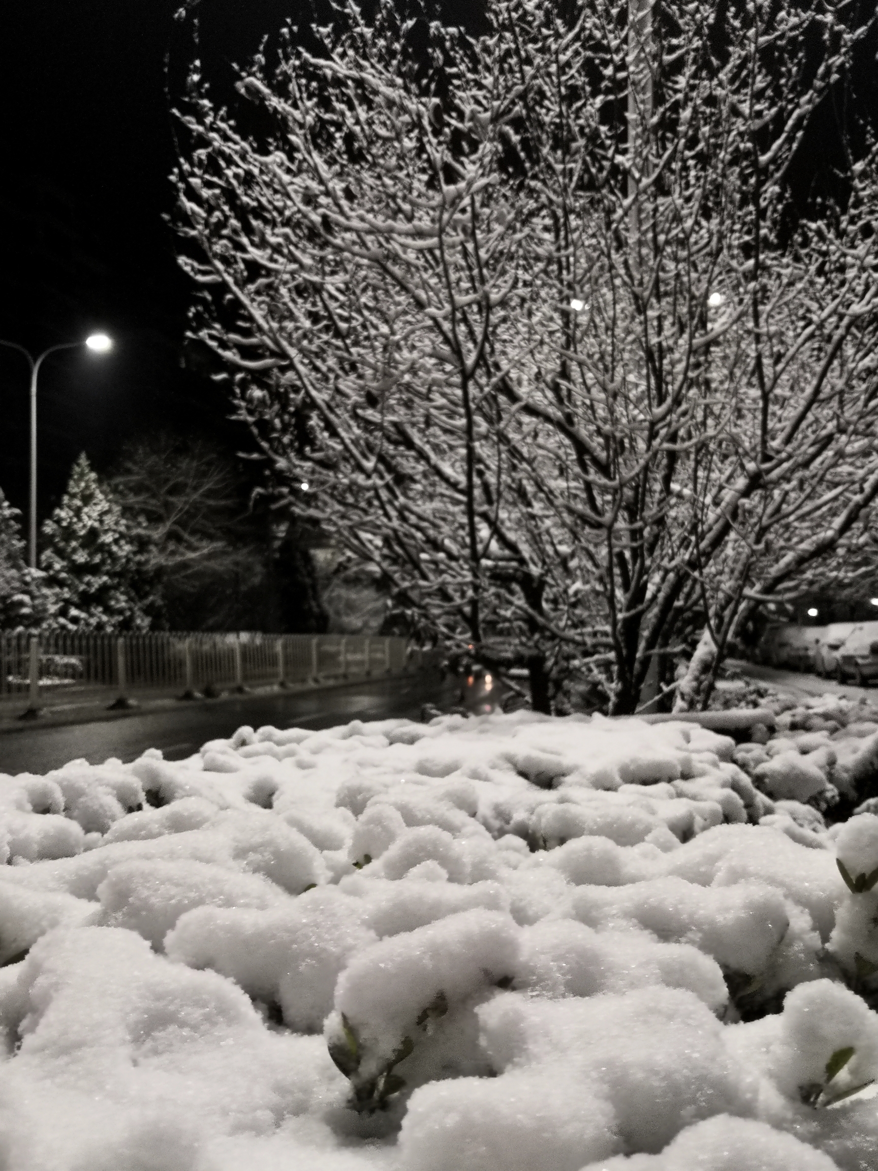 夜雪