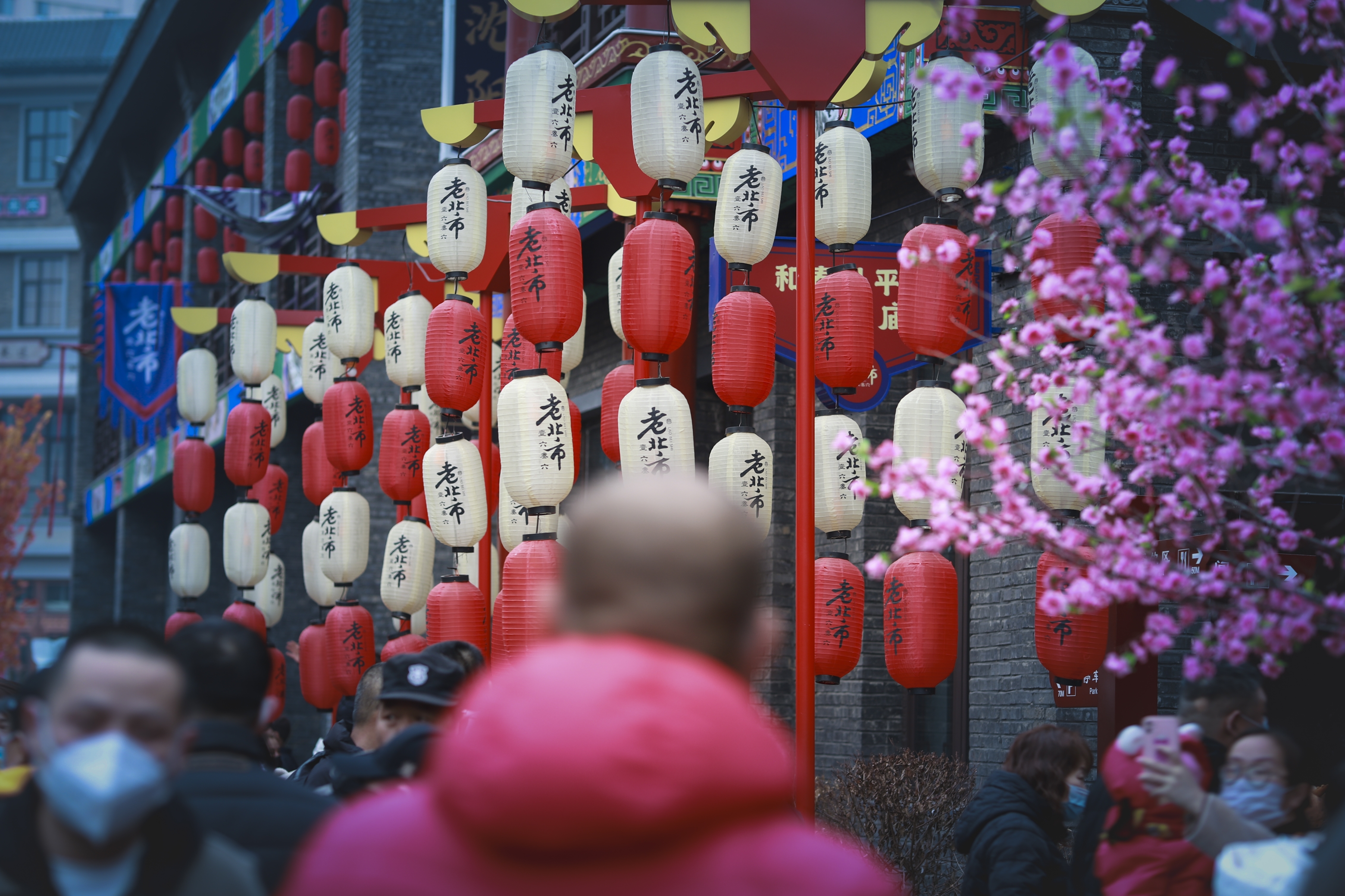 2021新年三愿首发